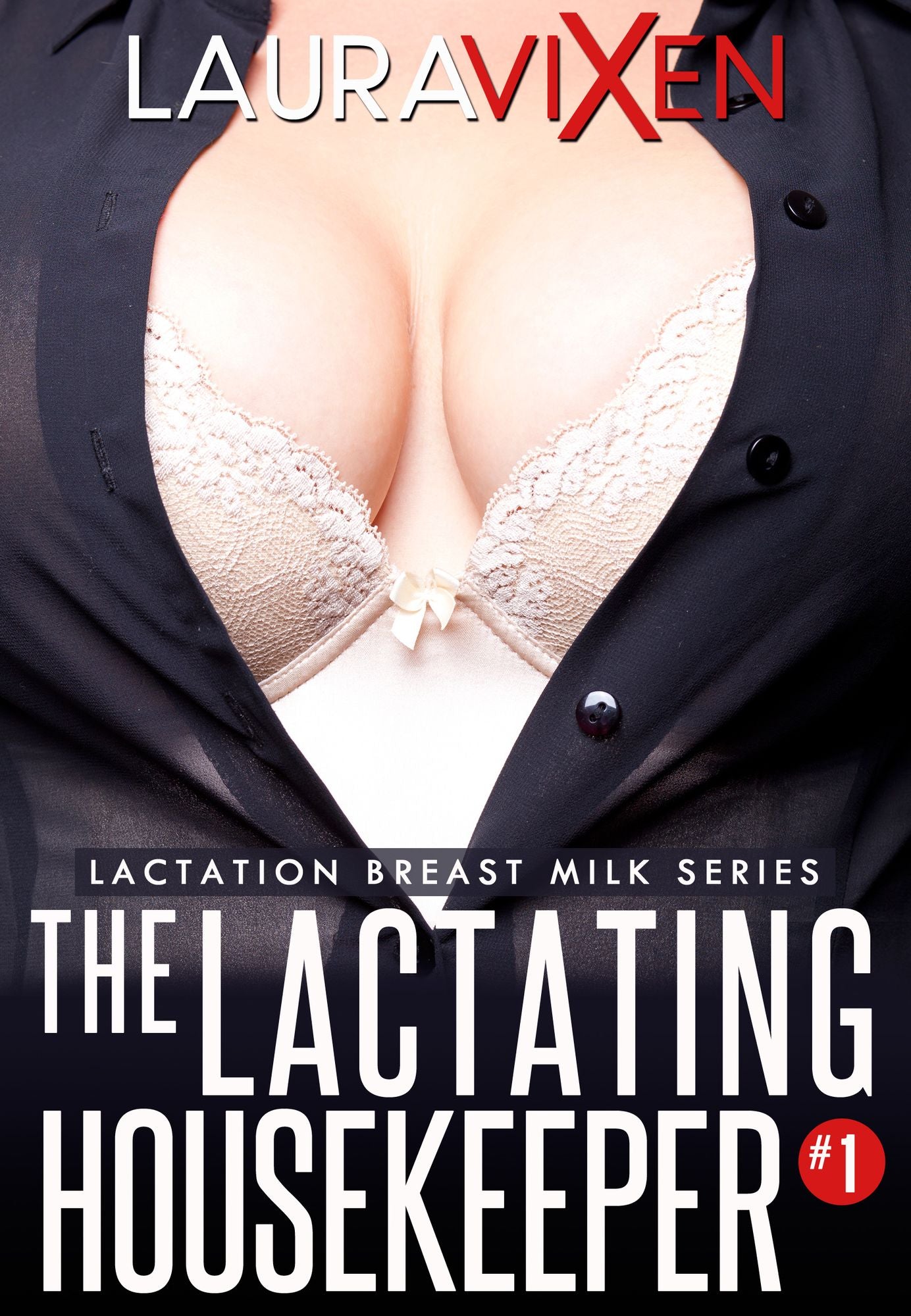 The Lactating Housekeeper: Lactation Breast Milk series #1