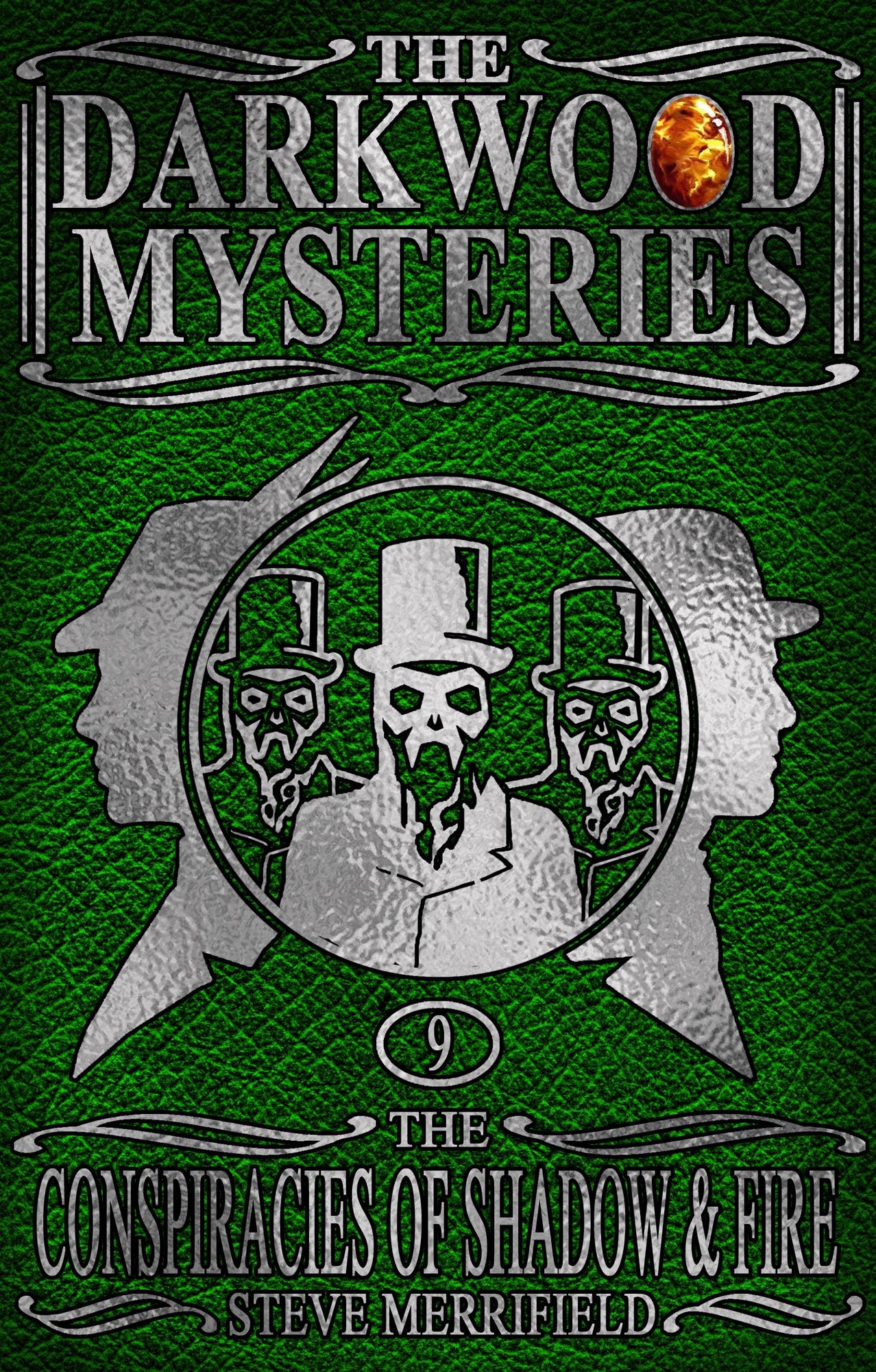 The Darkwood Mysteries (9): The Conspiracies of Shadow & Fire