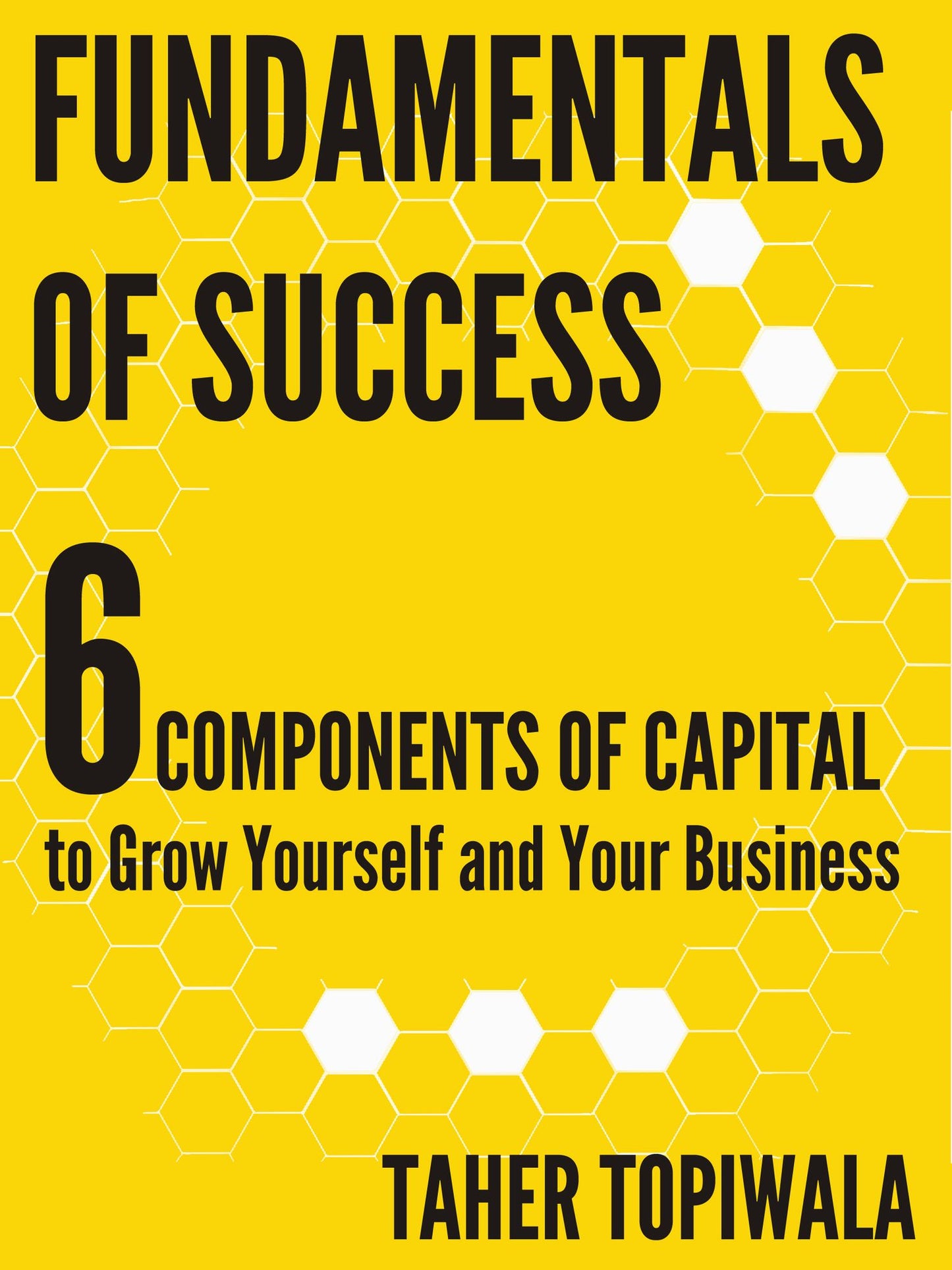 Fundamentals of Success: 6 Components of Capital