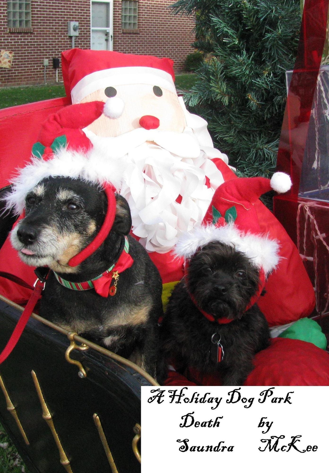 A Holiday Dog Park Death