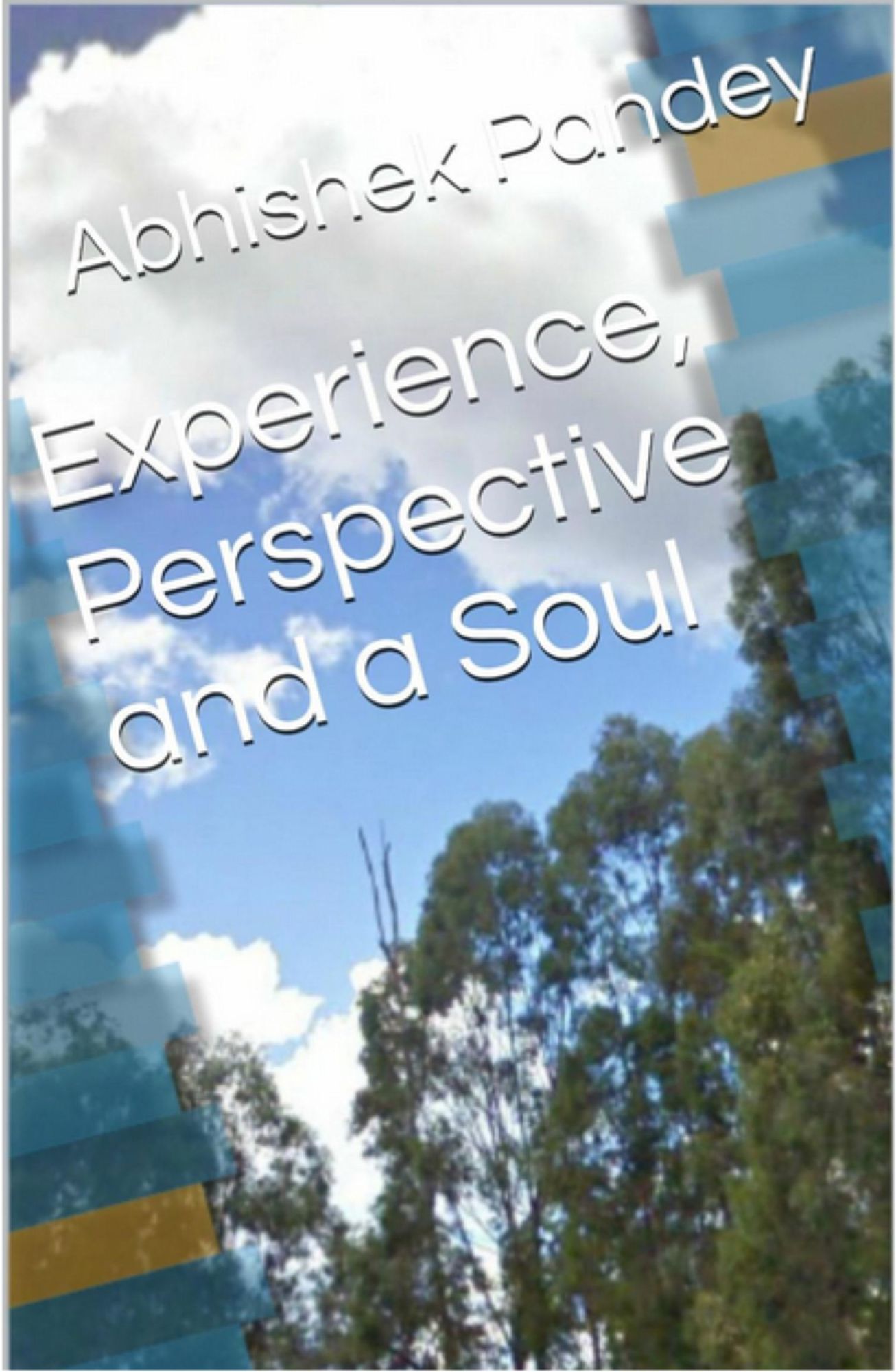 Experience, Perspective and a Soul