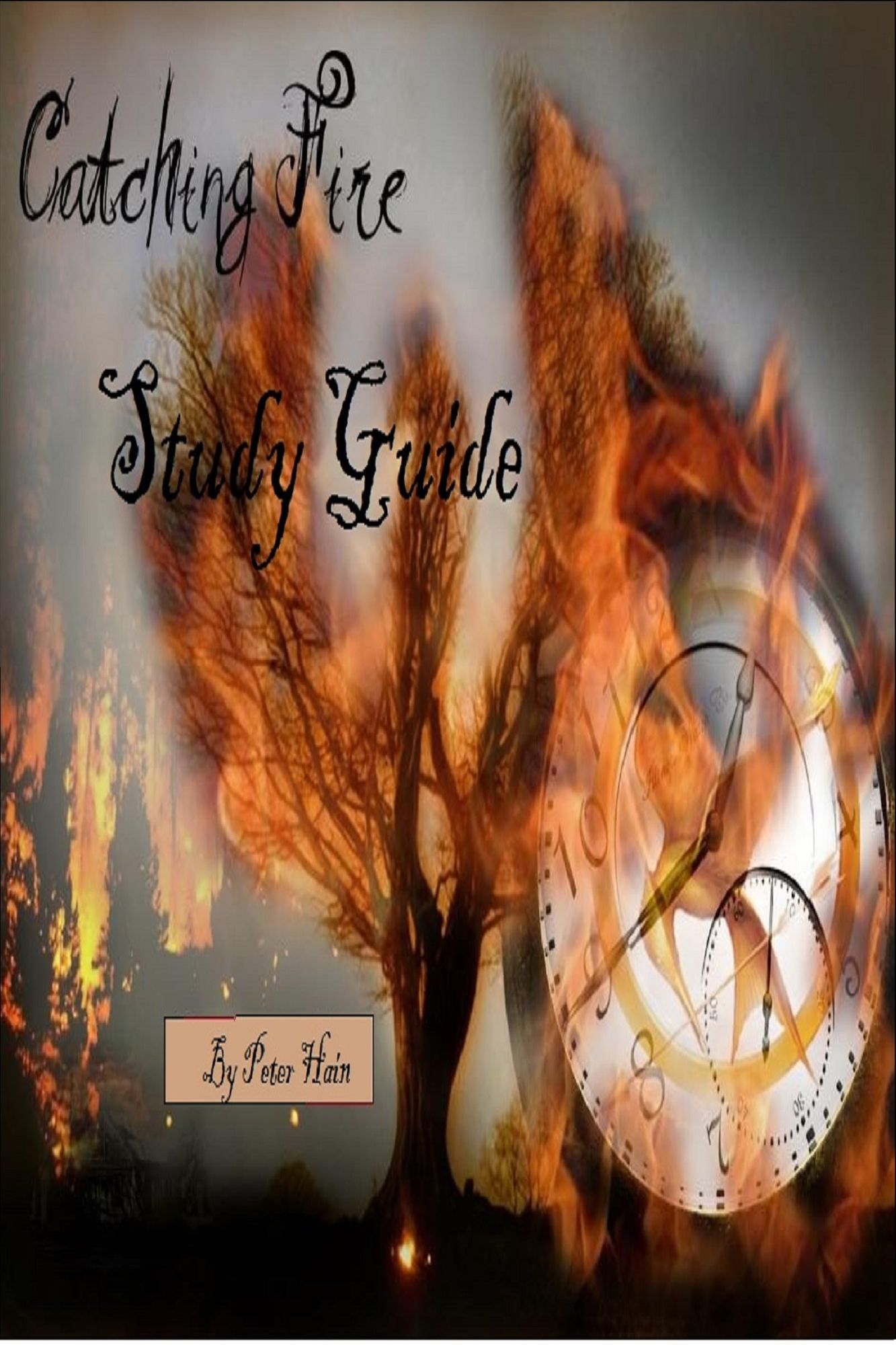 Catching Fire Study Guide