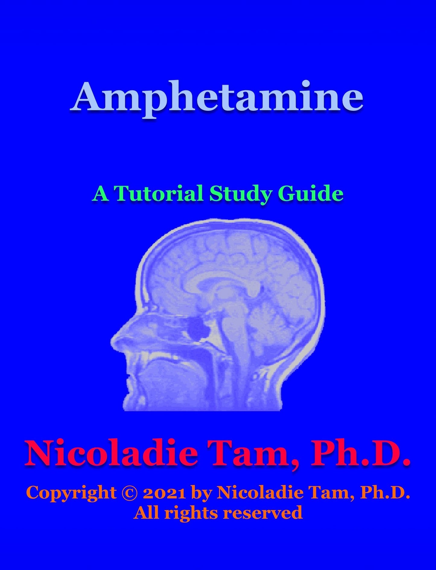 Cytoplasmic Release of Neurotransmitters: A Tutorial Study Guide