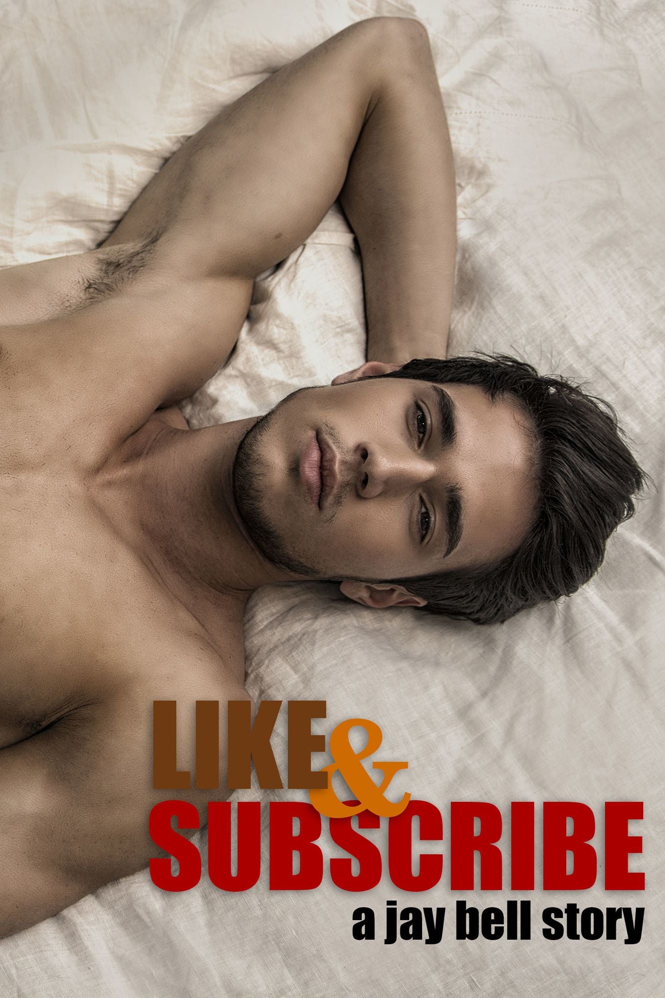 Like and Subscribe (gay romance)