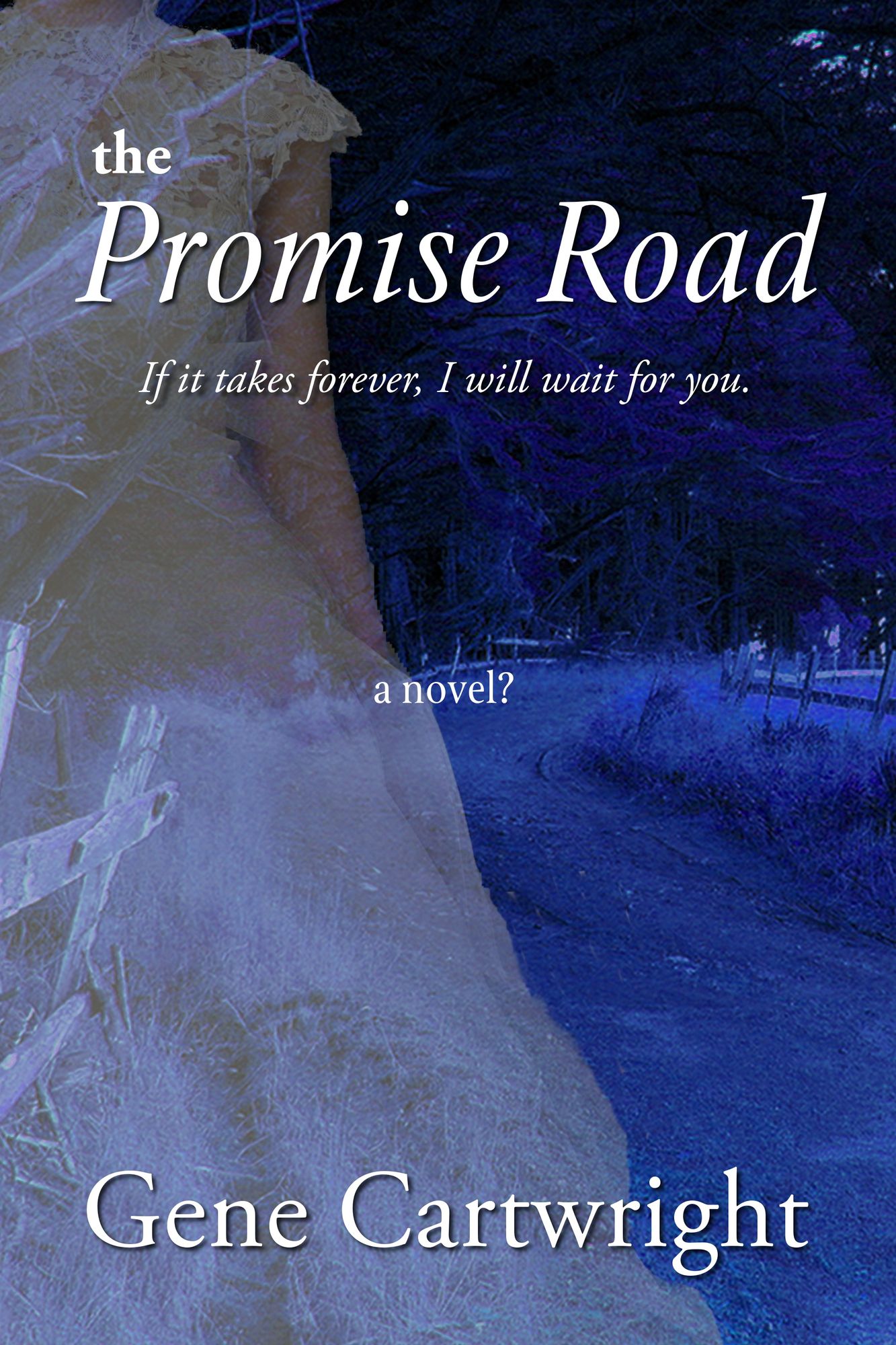 The Promise Road