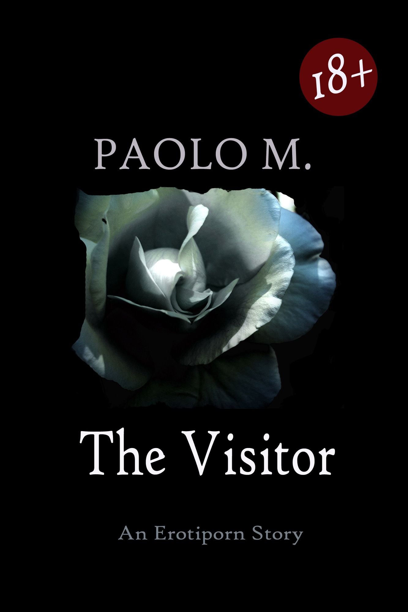 The Visitor