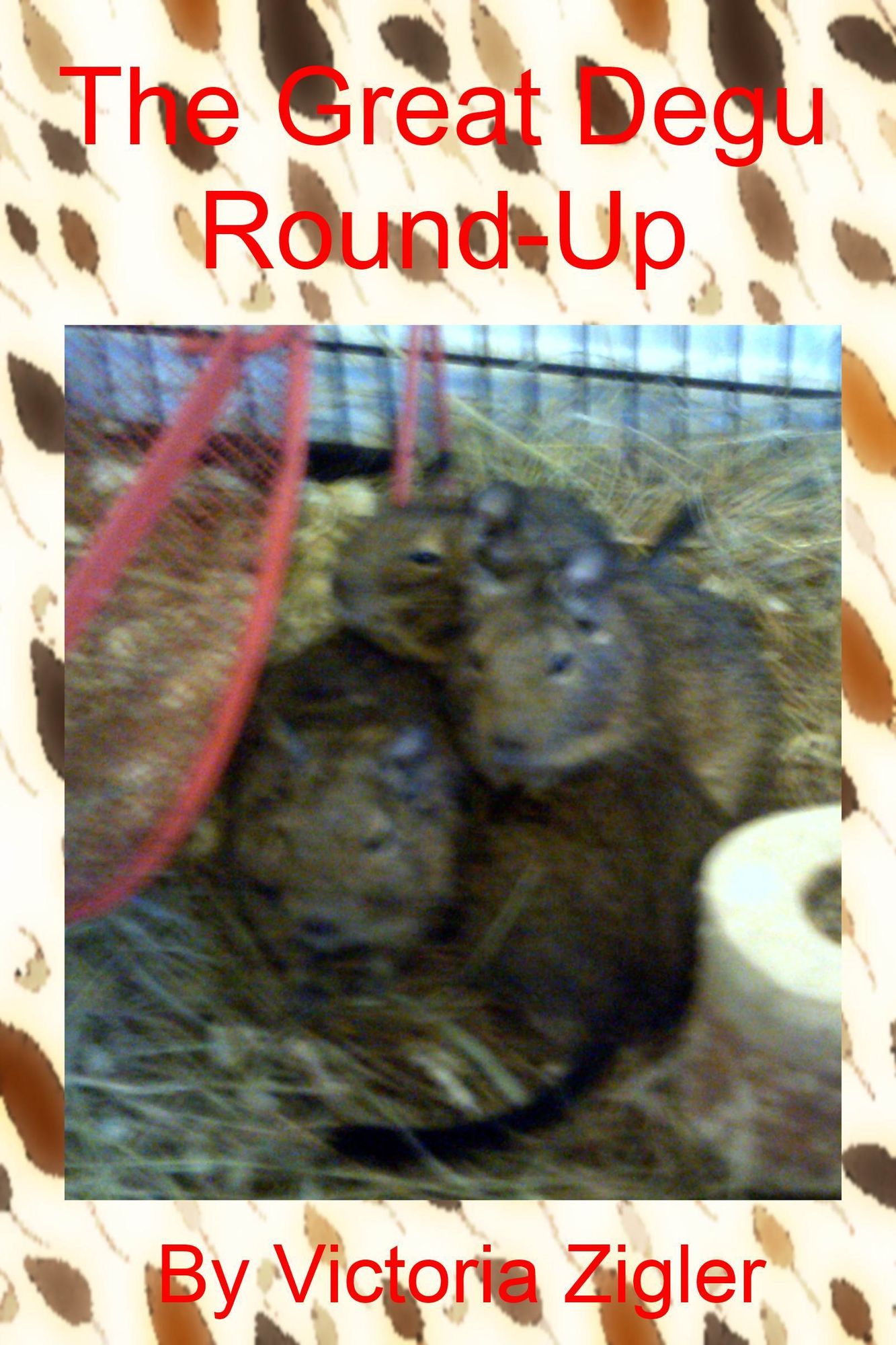 The Great Degu Round-Up