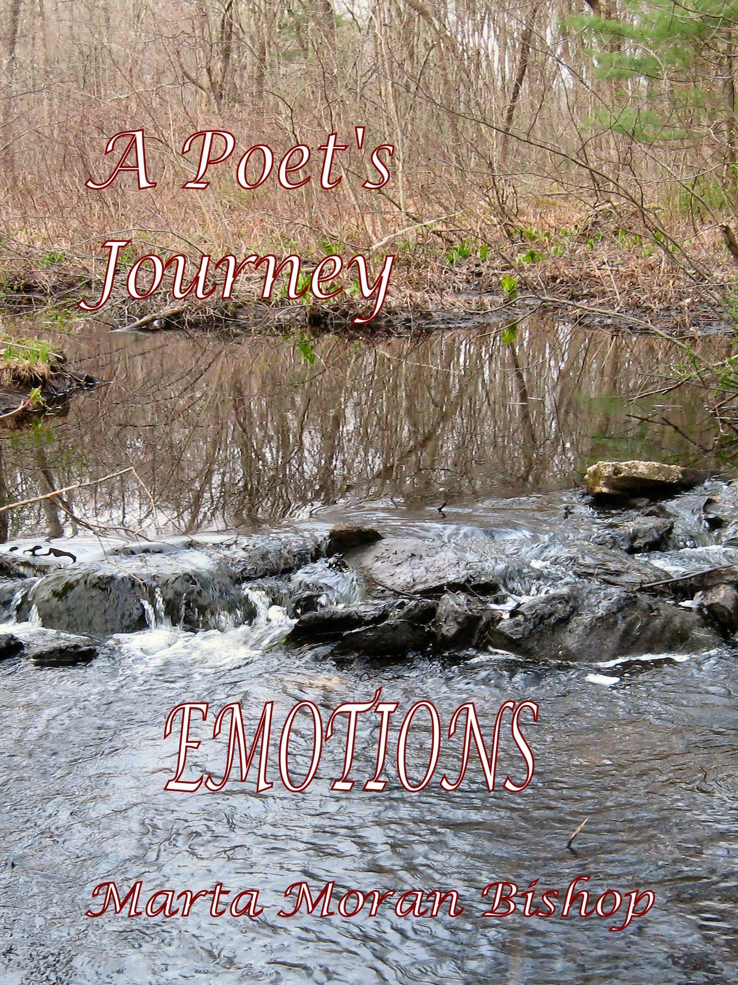A Poet's Journey: Emotions