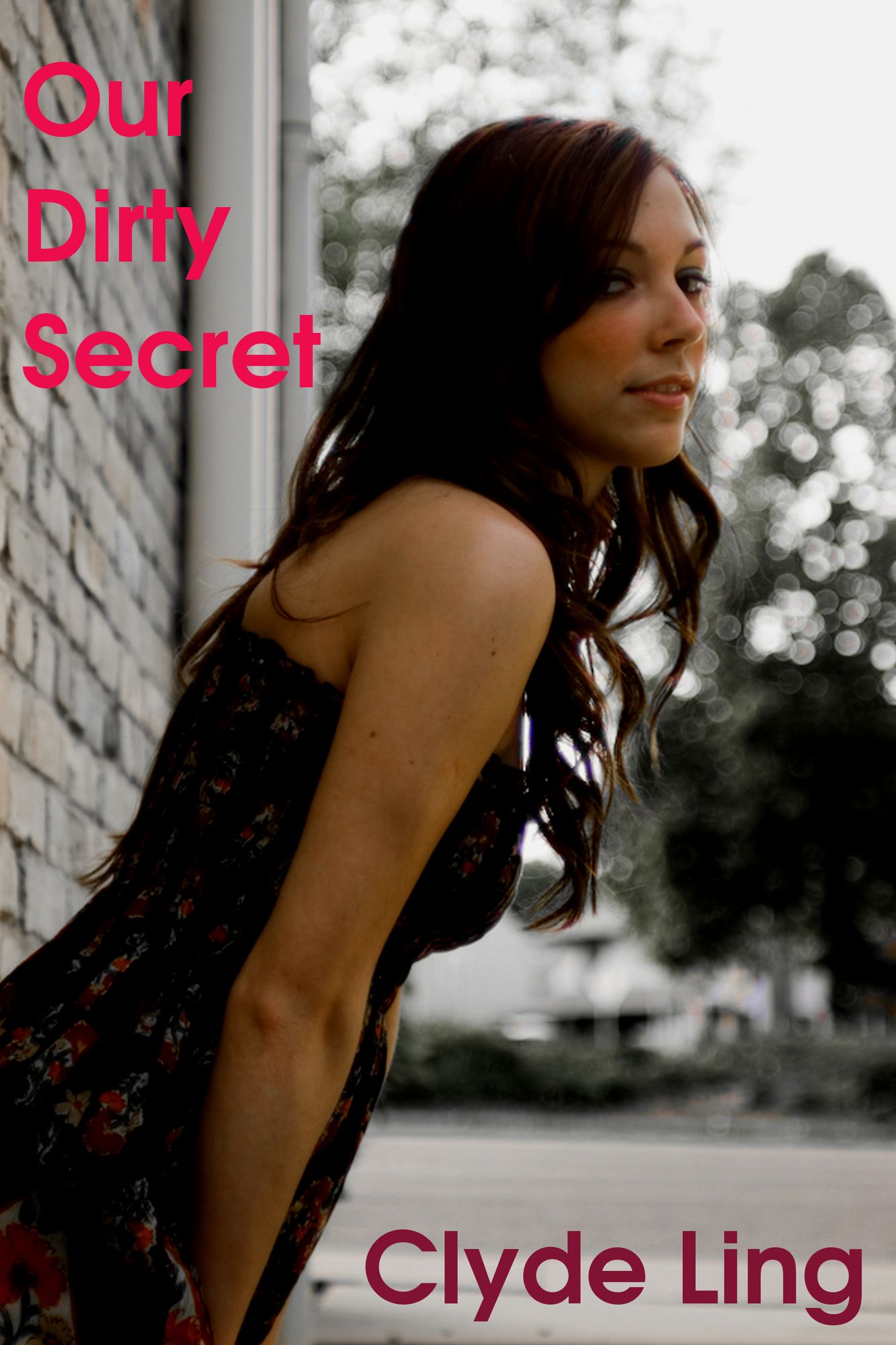 Our Dirty Secret (Magic Dildo Erotica)