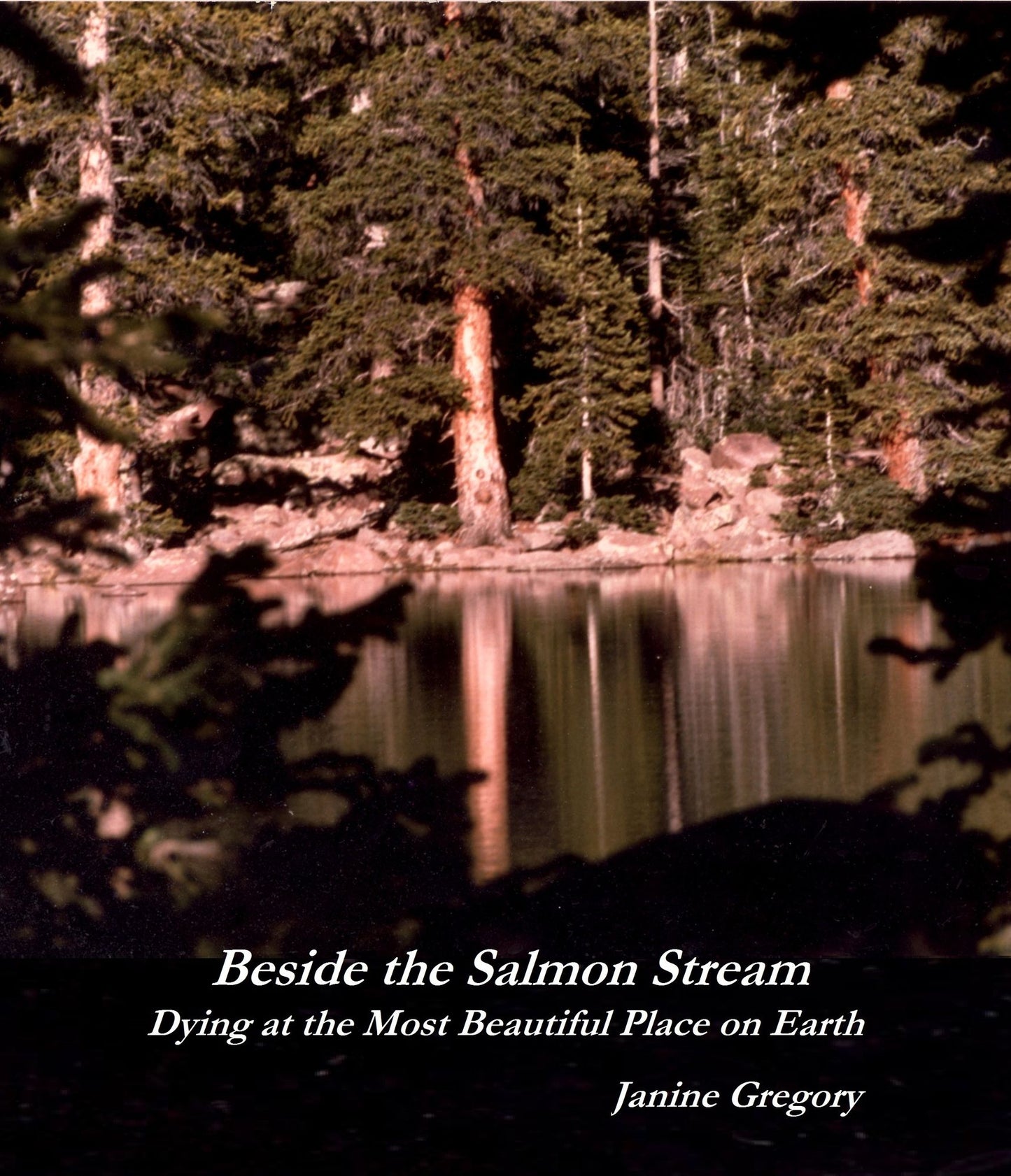 Beside the Salmon Stream: Dying at the Most Beautiful Place on Earth