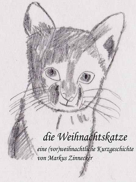 die Weihnachtskatze