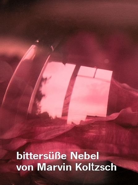 bittersüße Nebel