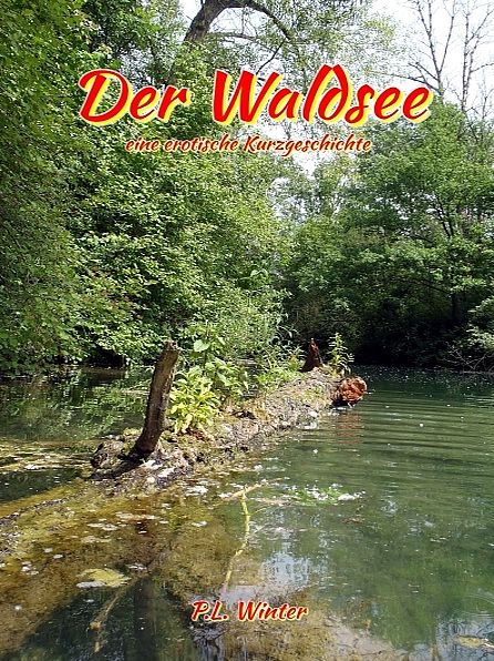 Der Waldsee