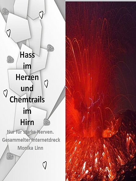 Hass im Herzen und Chemtrails im Hirn.