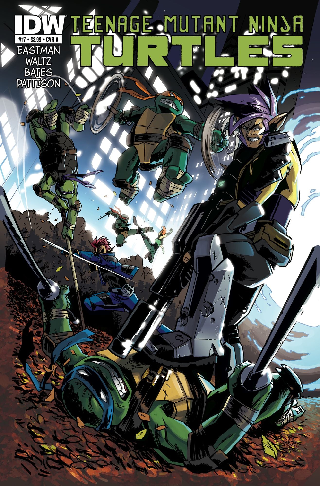 Teenage Mutant Ninja Turtles #17
