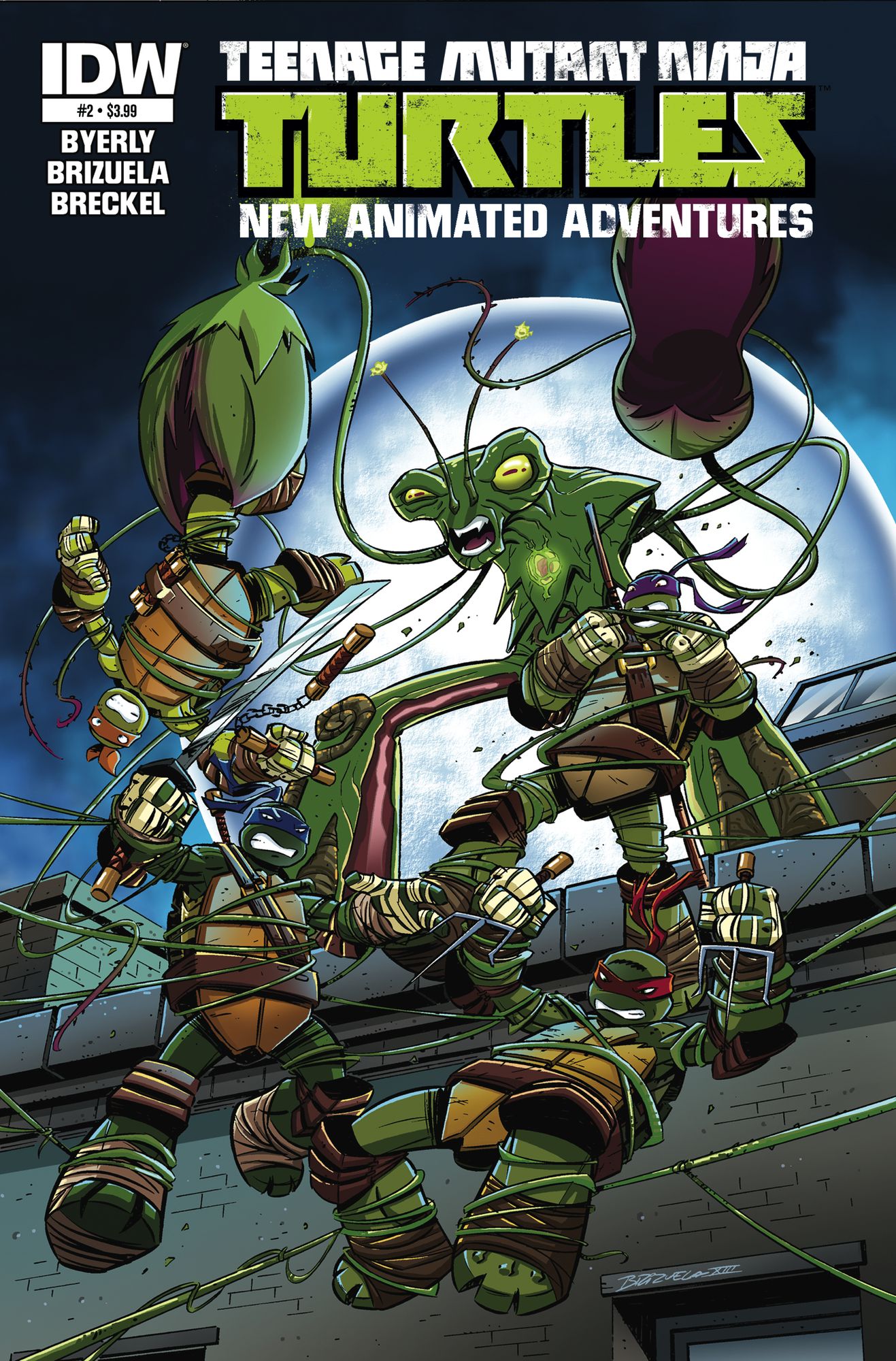 Teenage Mutant Ninja Turtles: New Animated Adventures #2