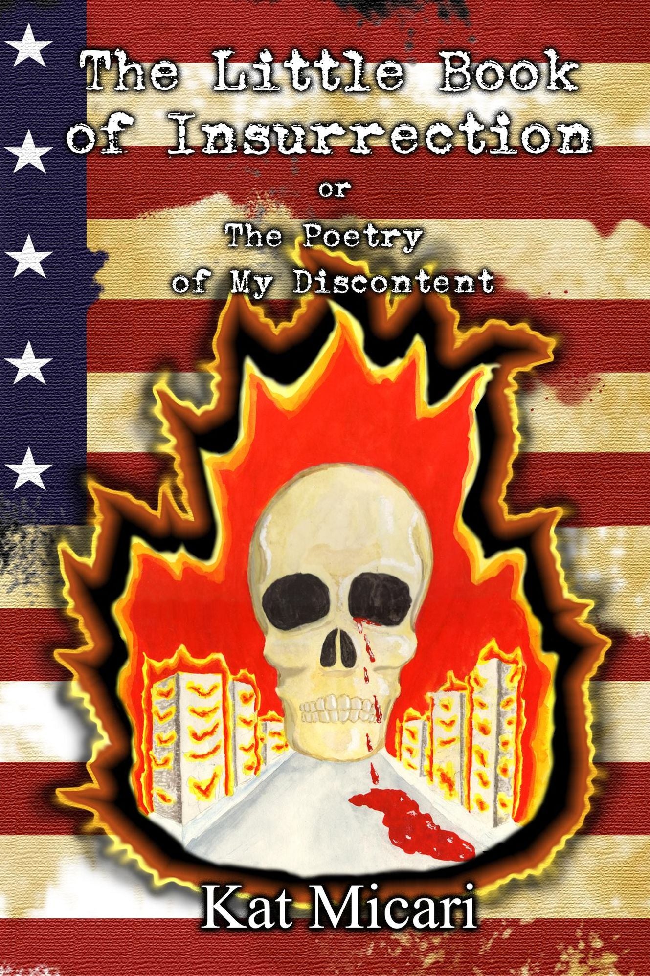 The Little Book of Insurrection or the Poetry of My Discontent