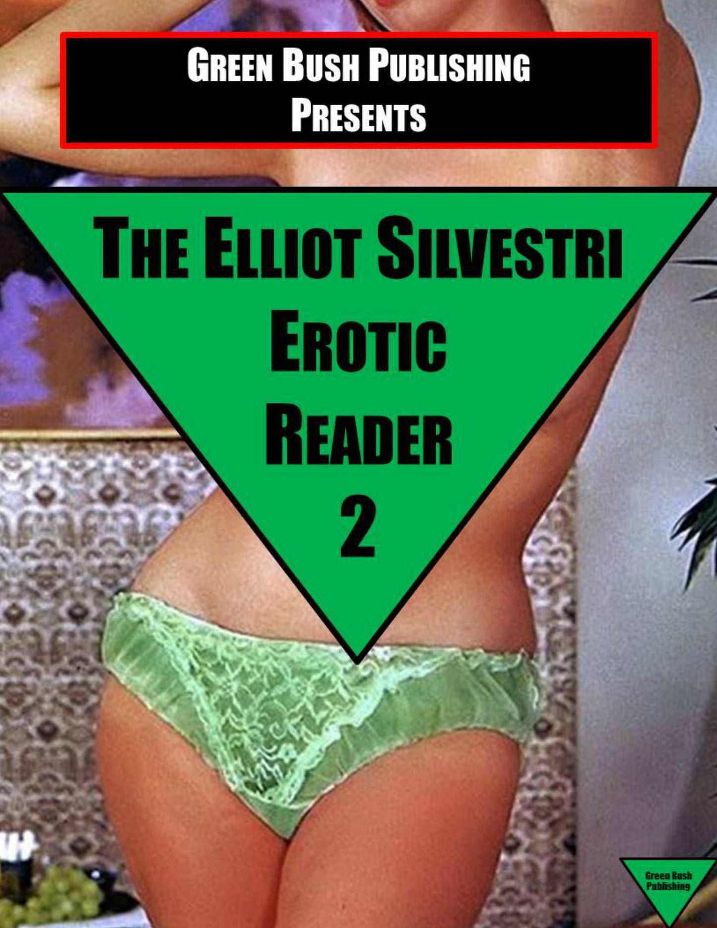 The Elliot Silvestri Erotic Reader Volume 2