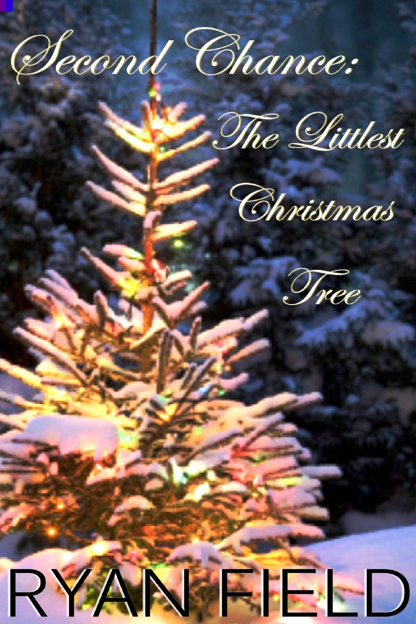 Second Chance: The Littlest Christmas Tree