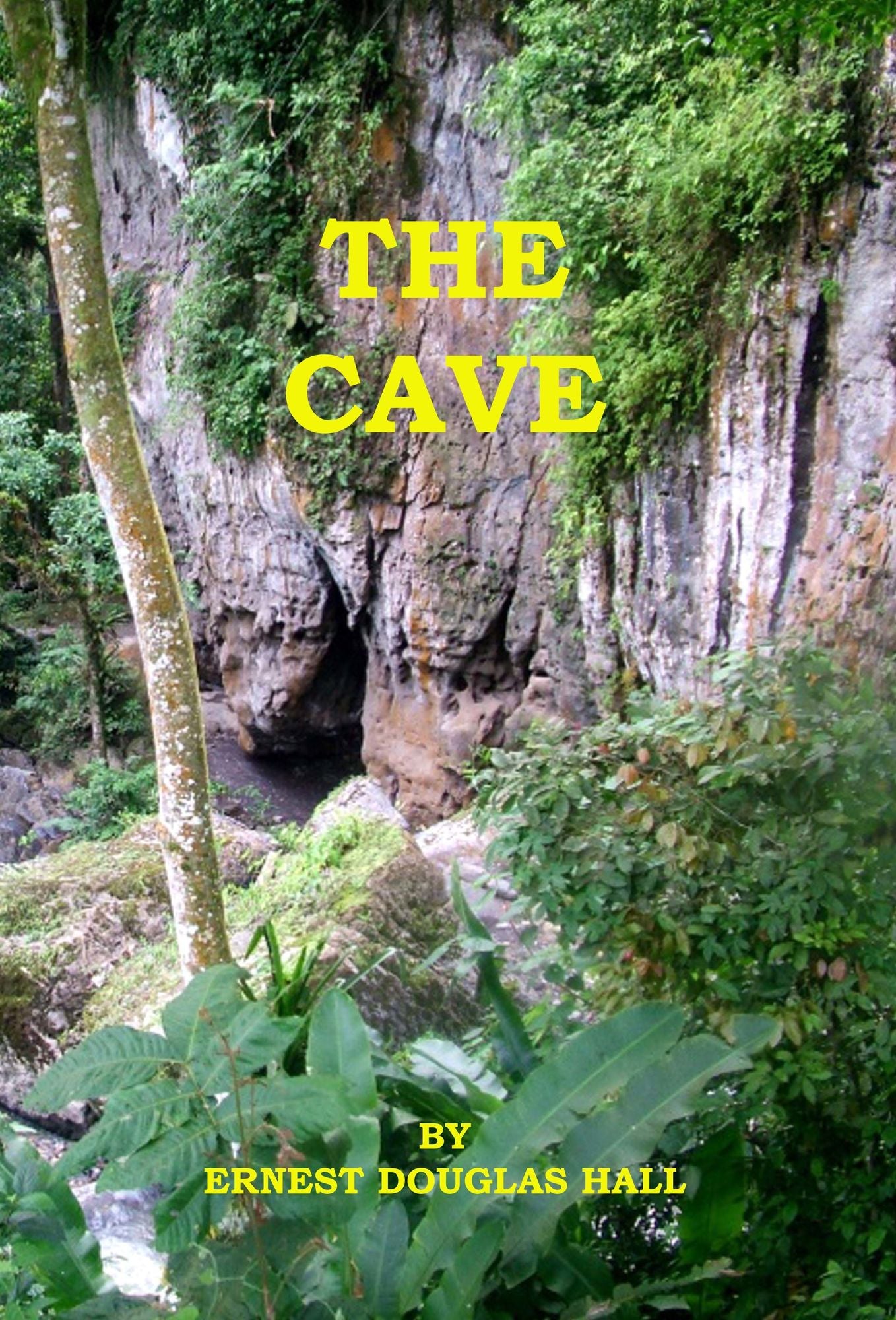 The Cave
