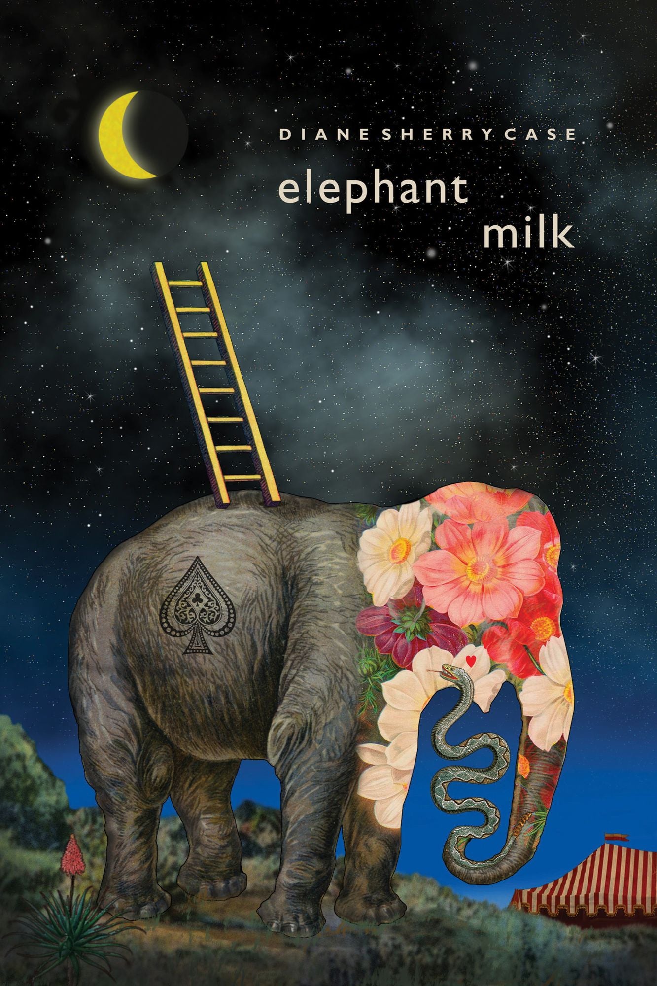 Elephant Milk