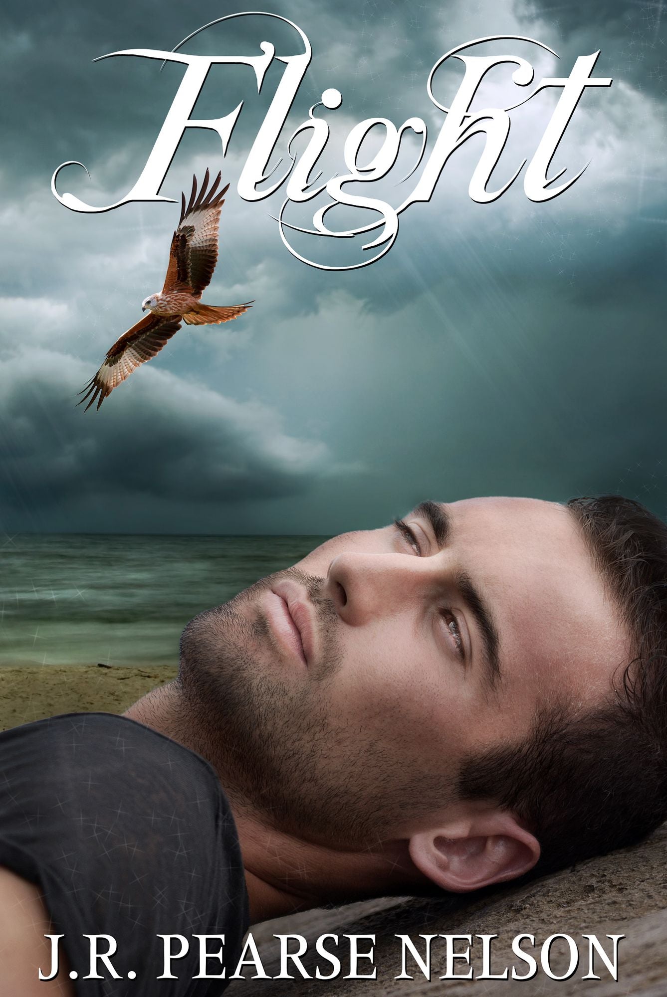 Flight (Children of the Sidhe, #3)