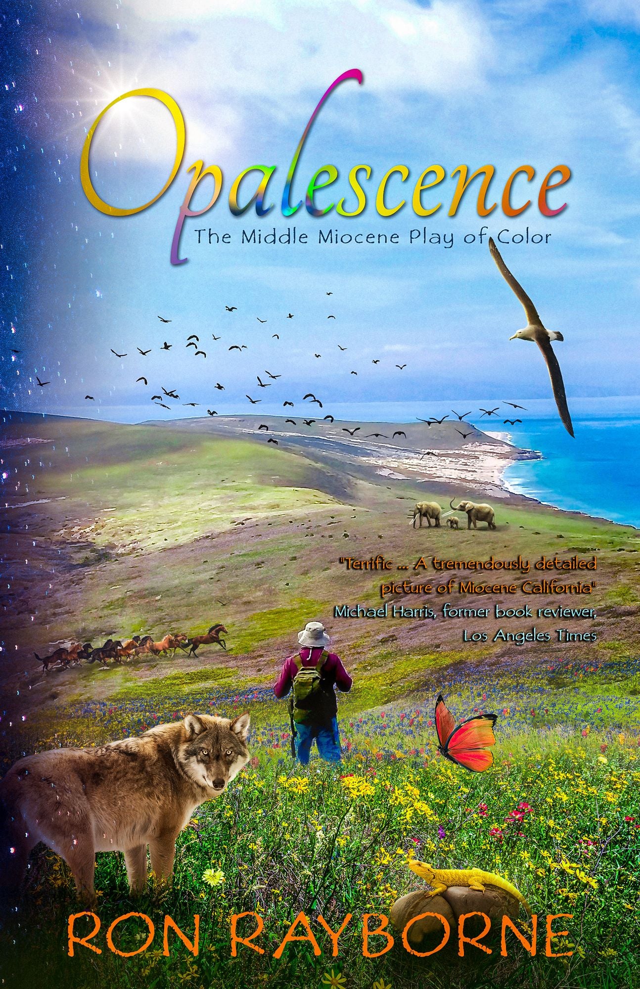 Opalescence: The Middle Miocene Play of Color