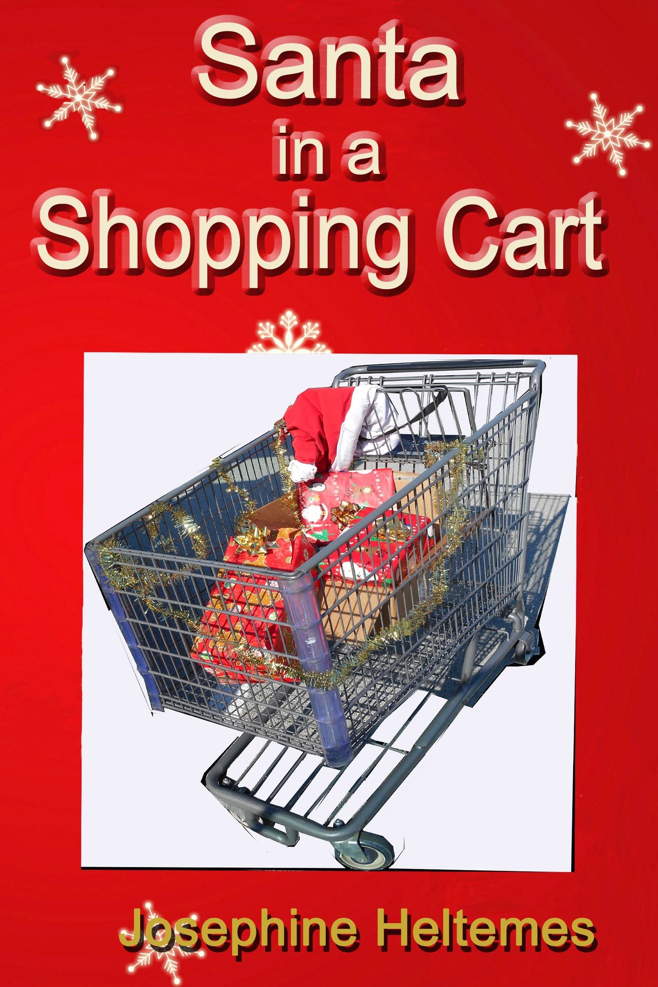 Santa in a Shopping Cart