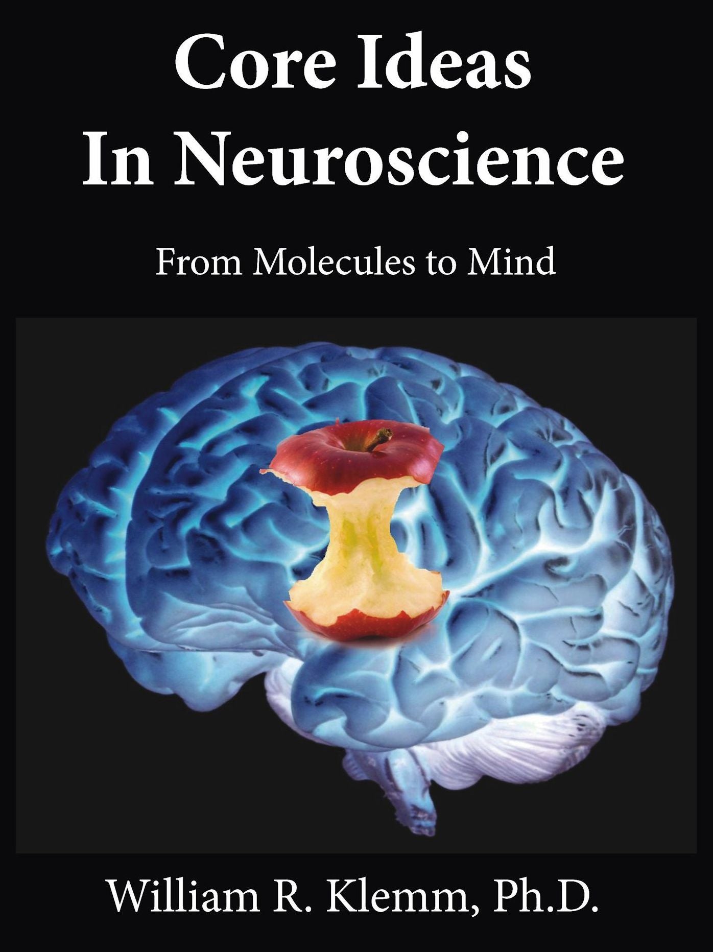 Core Ideas in Neuroscience