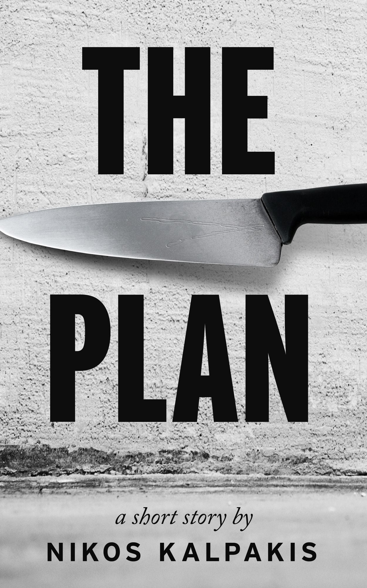 The Plan: A Mystery Thriller