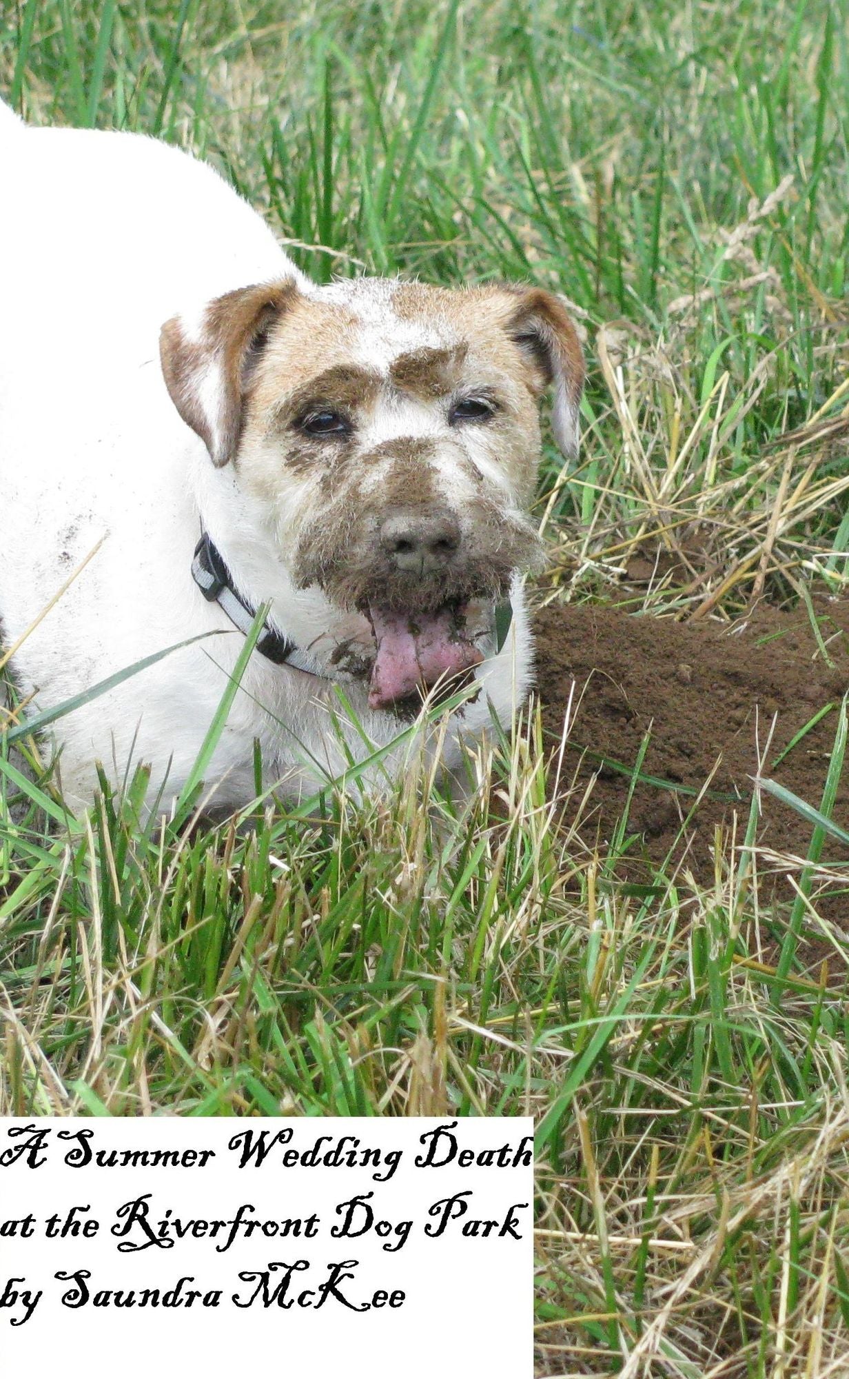 A Summer Wedding Death at the Riverfront Dog Park