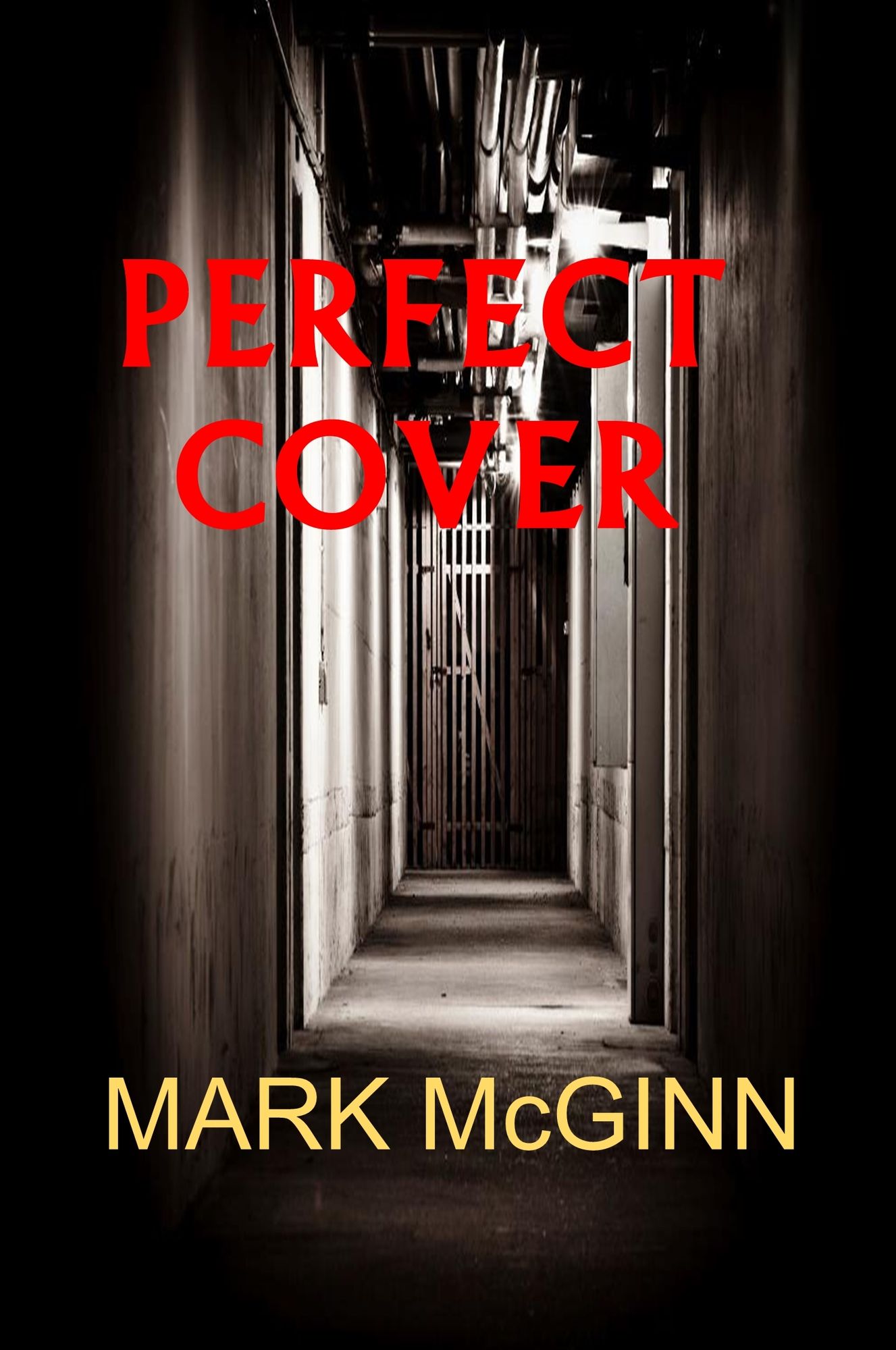 Perfect Cover
