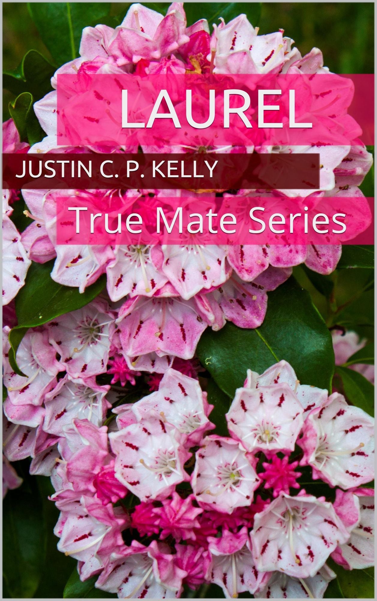 Laurel My Shojo Consort