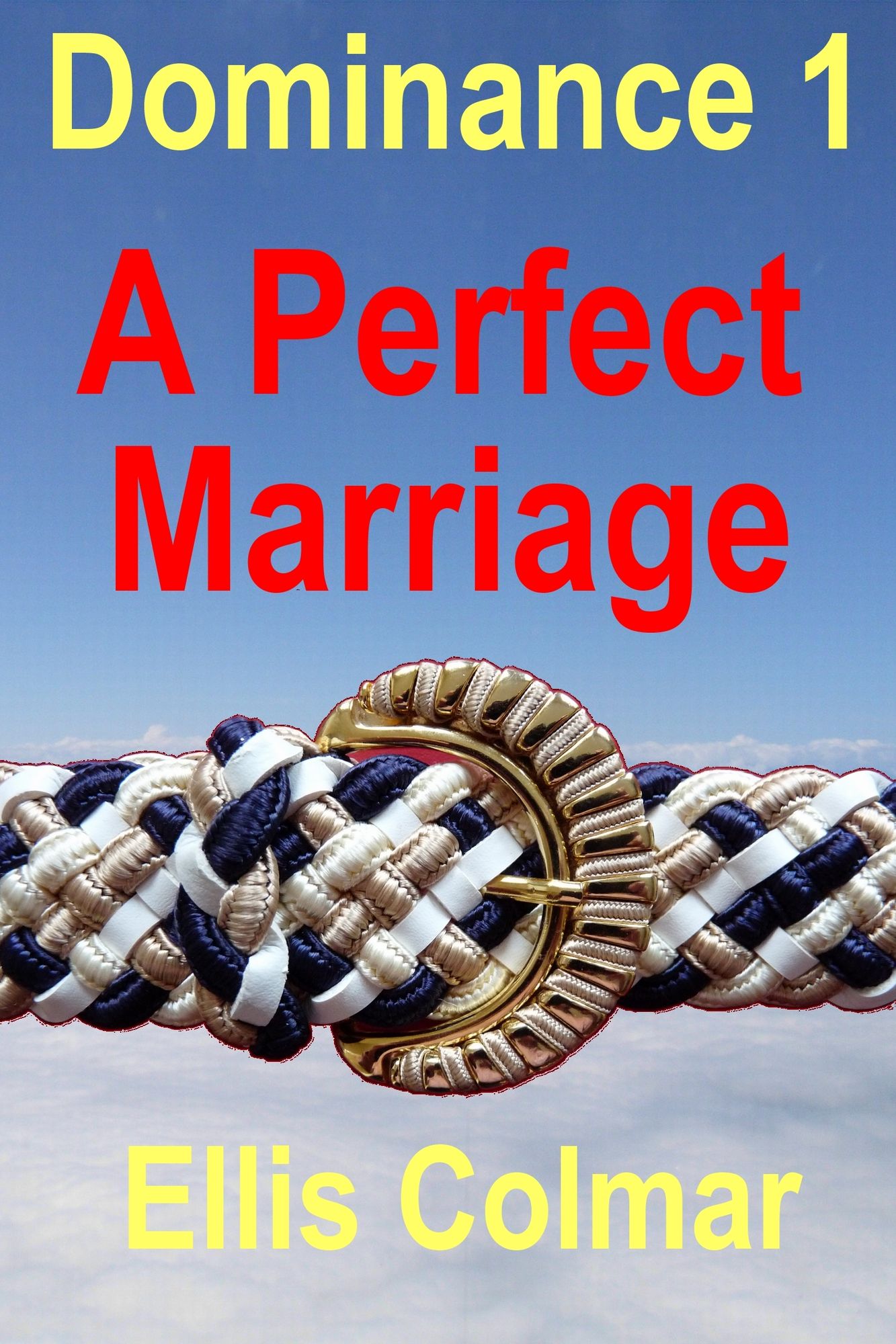 Dominance 1: A Perfect Marriage