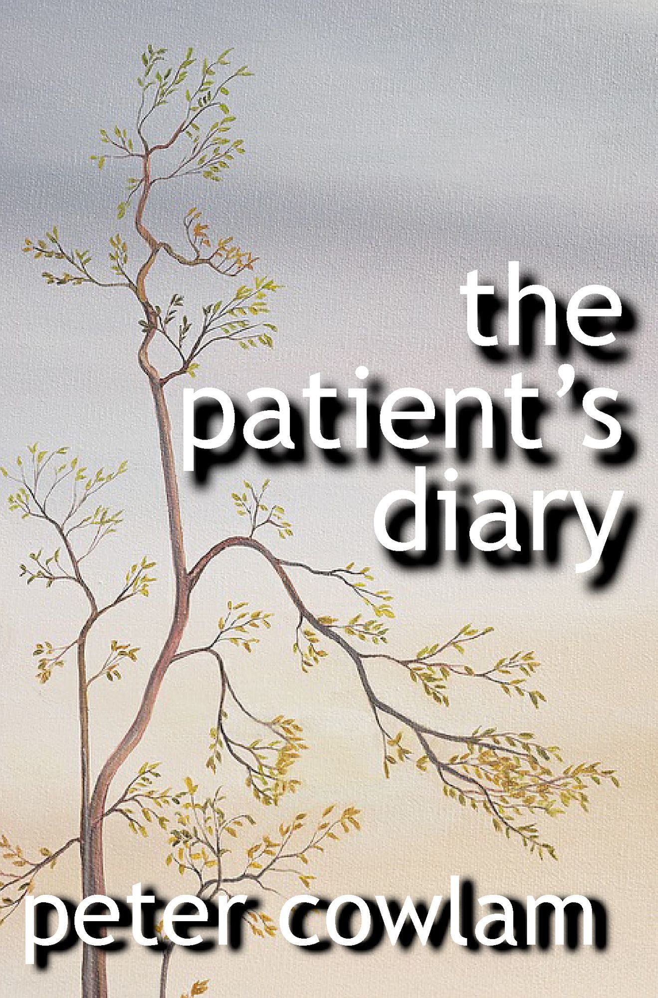 The Patient's Diary