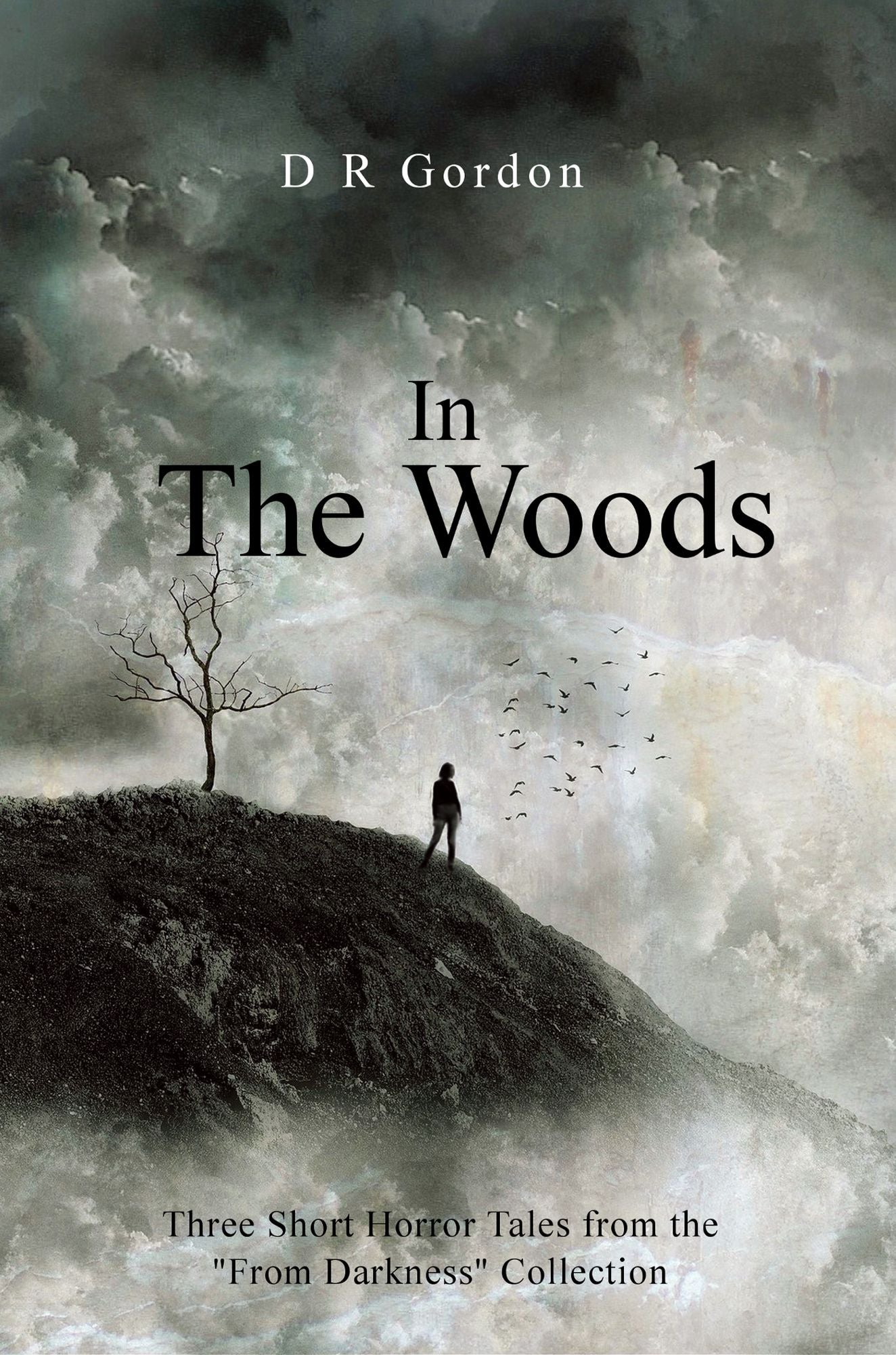 In the Woods