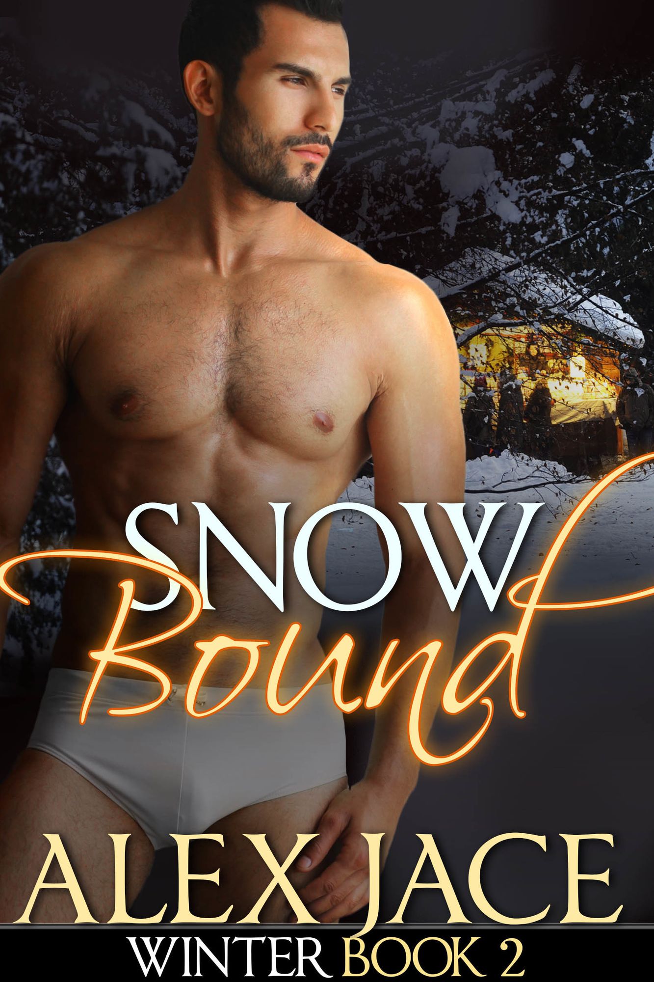 Snowbound (Winter #2)