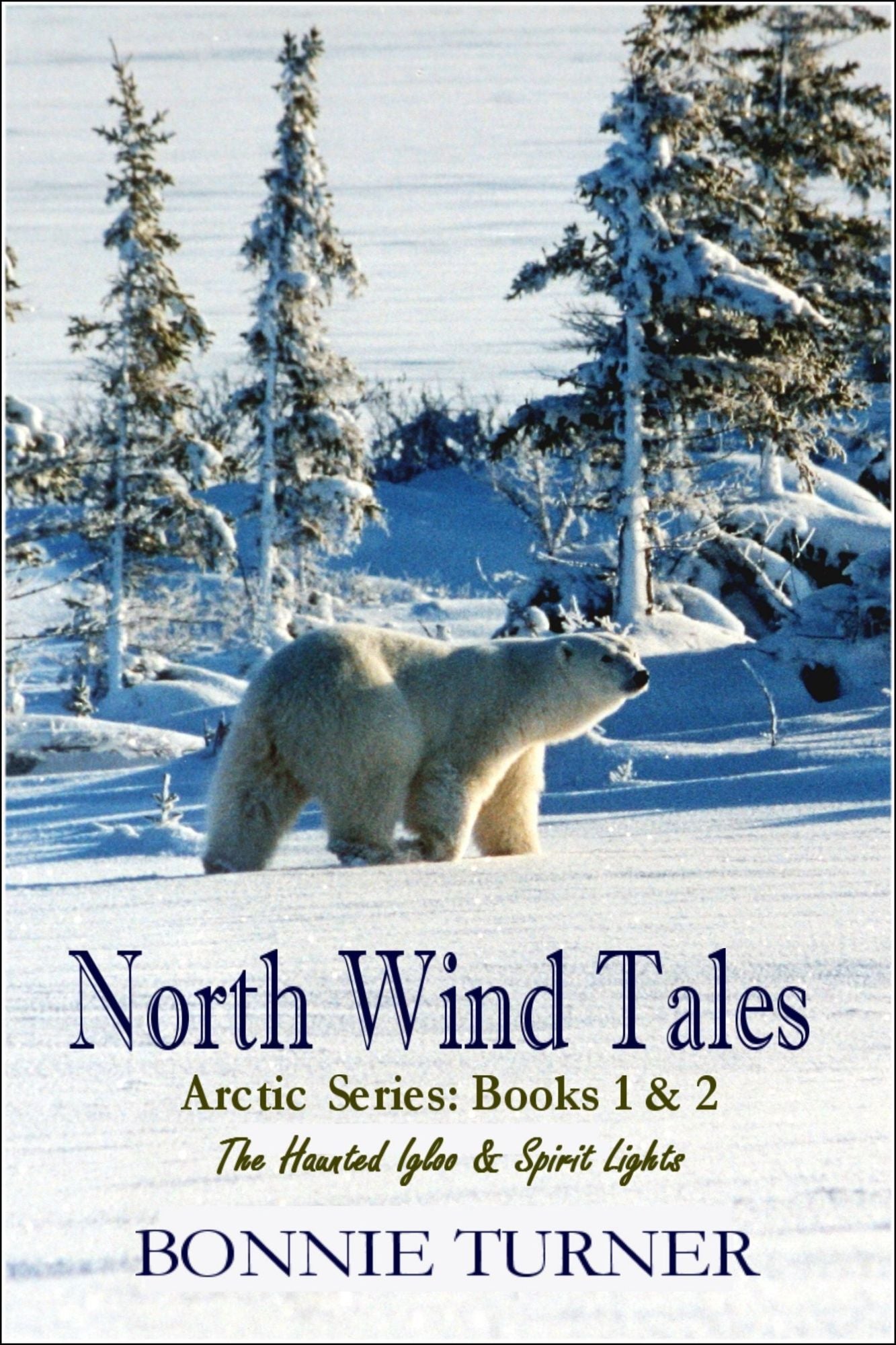 North Wind Tales