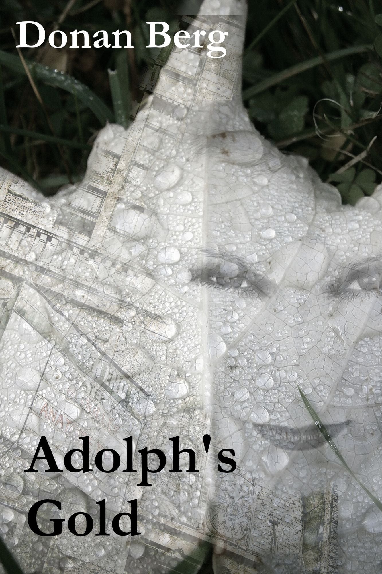 Adolph's Gold