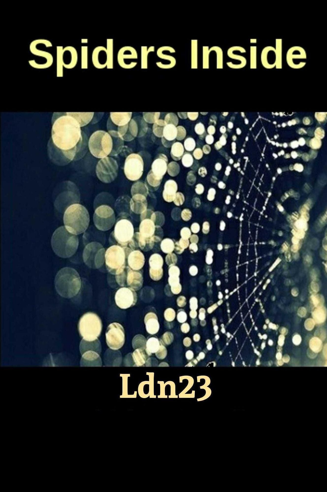 Spiders Inside