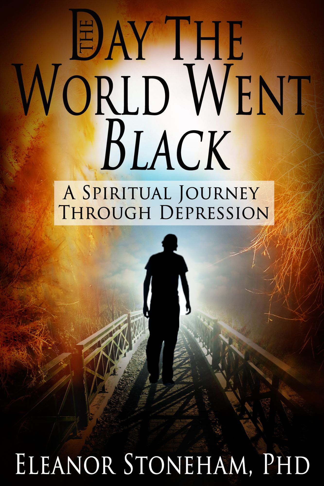 The Day the World Went Black A Spiritual Journey Through Depression