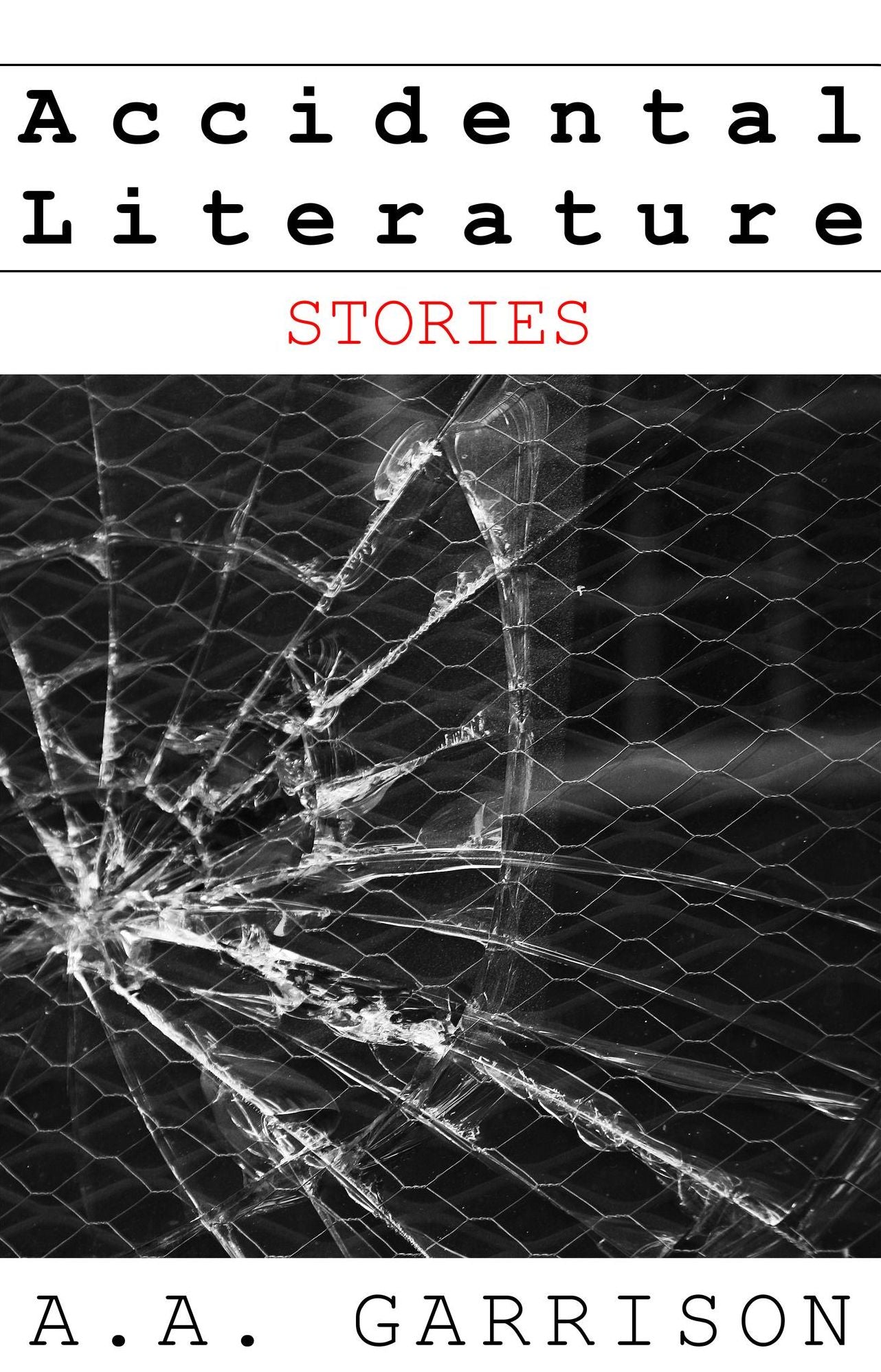 Accidental Literature: Stories