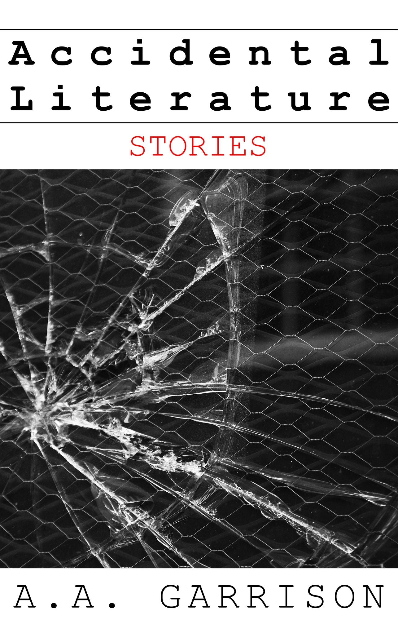 Accidental Literature: Stories