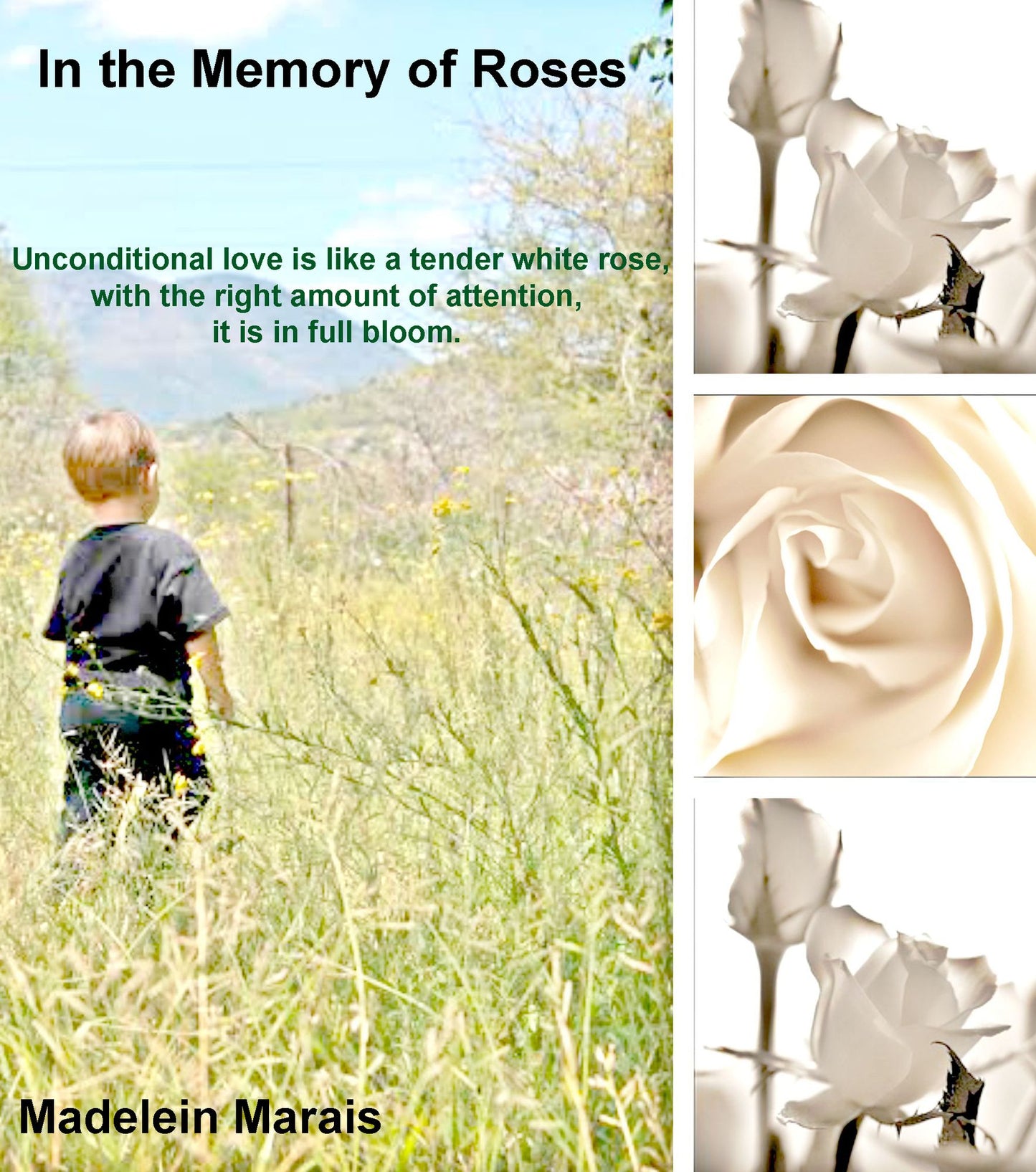 In The Memory Of Roses