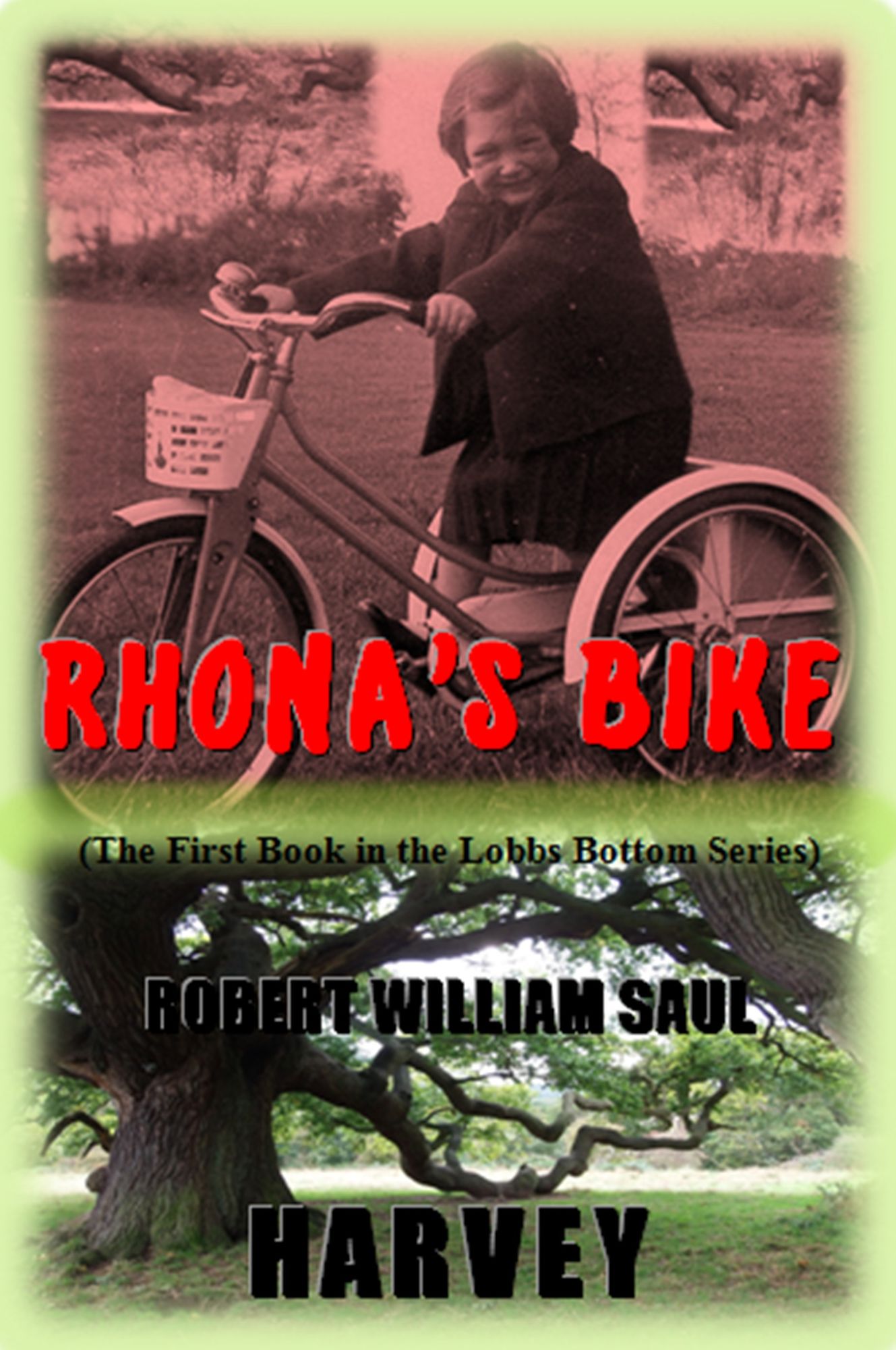 Rhona's Bike (The First Book in the Lobbs Bottom Series)