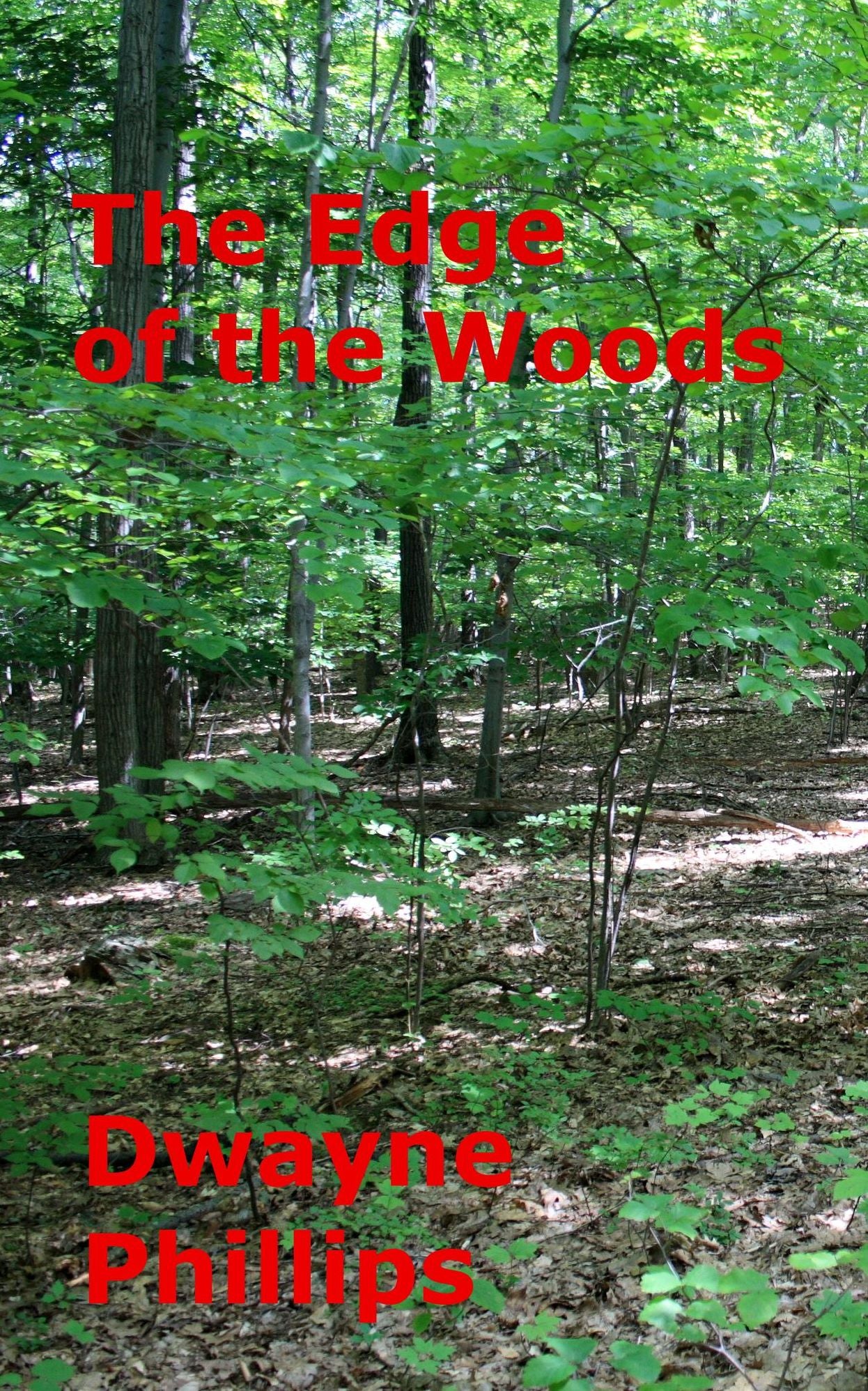 The Edge of the Woods