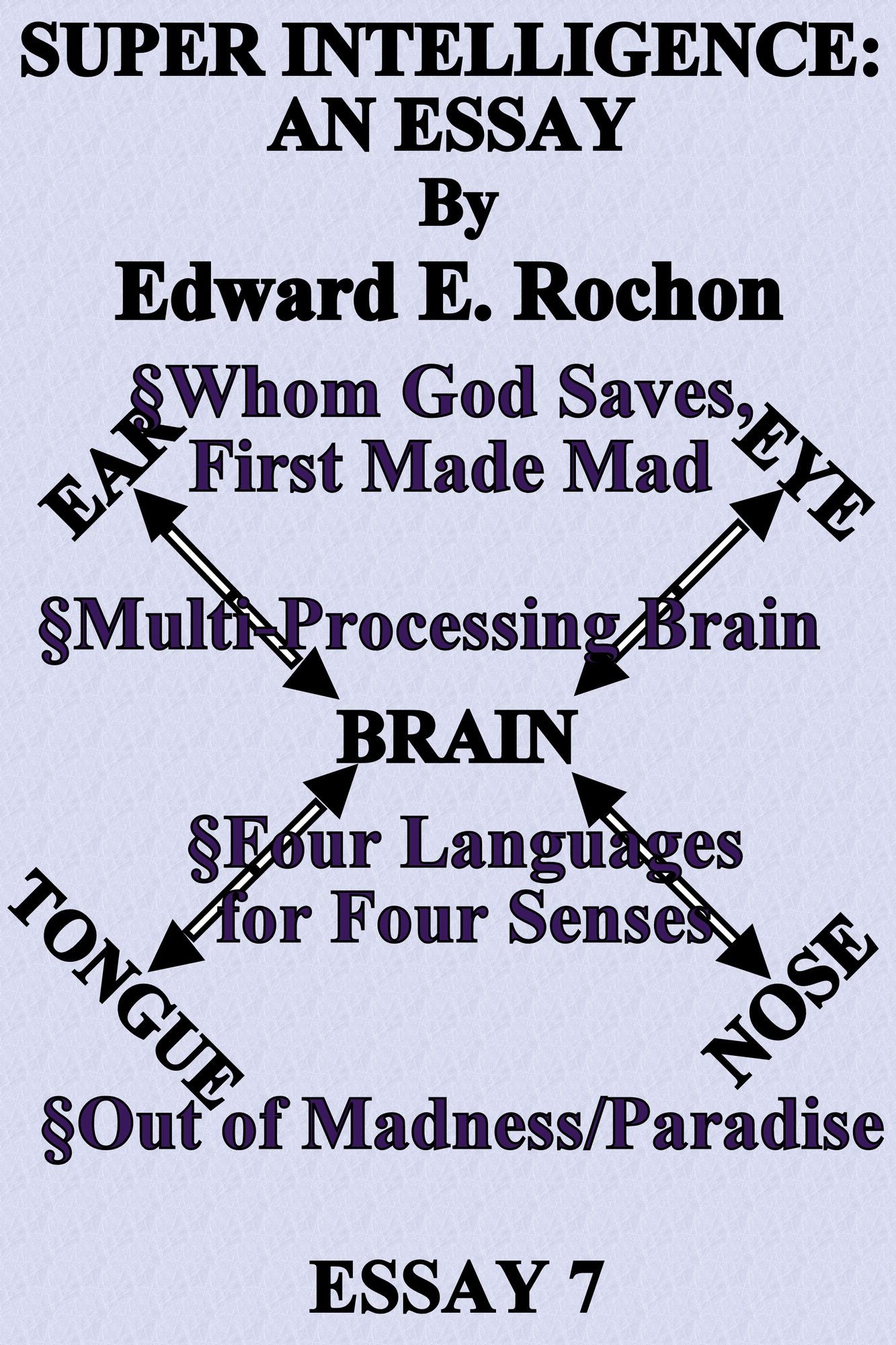 Super Intelligence: An Essay