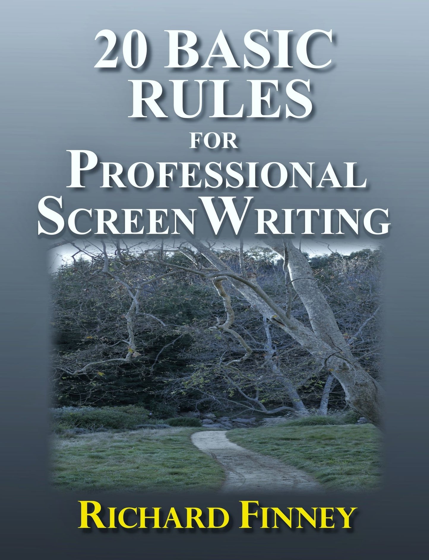 20 Basic Rules for Professional Screenwriting