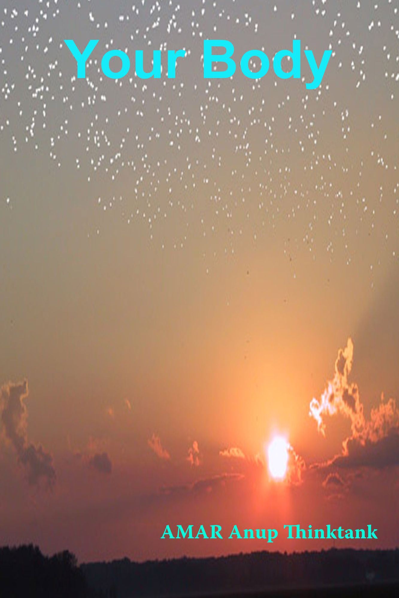 Your Body: Guru Ramdas Teaches the Purpose of Your Birth