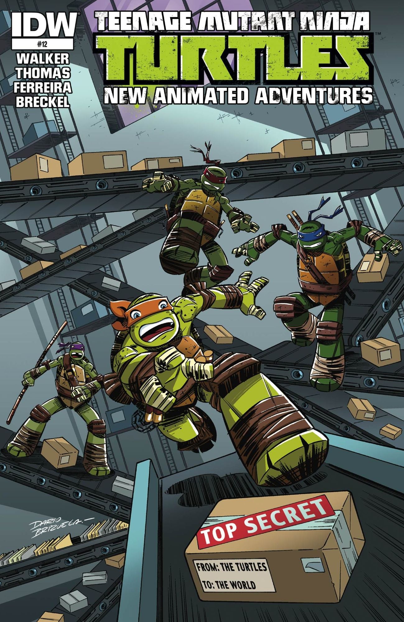 Teenage Mutant Ninja Turtles: New Animated Adventures #12